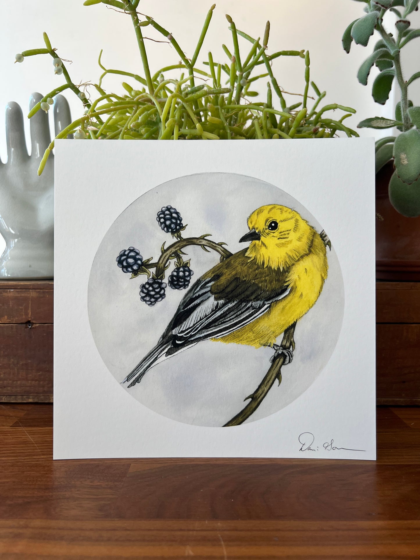 "Prothonotary Warbler" - Print