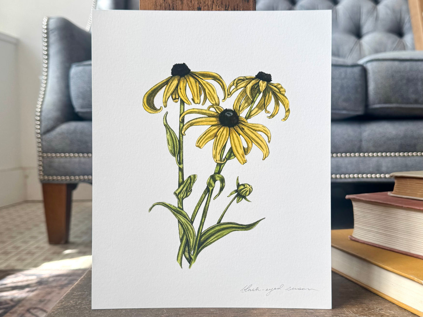 "Black-Eyed Susan" - Print