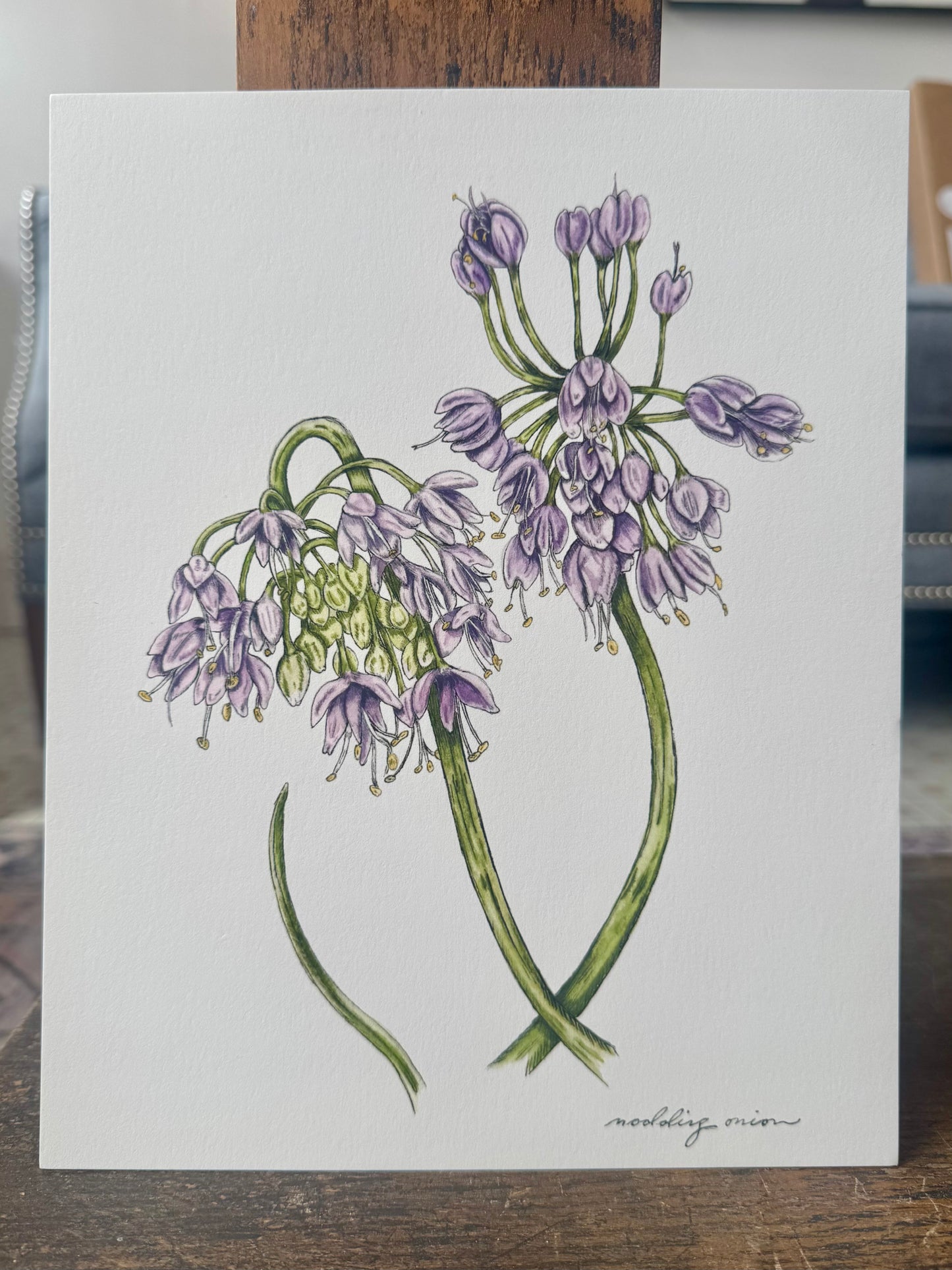 "Nodding Onion" - Print