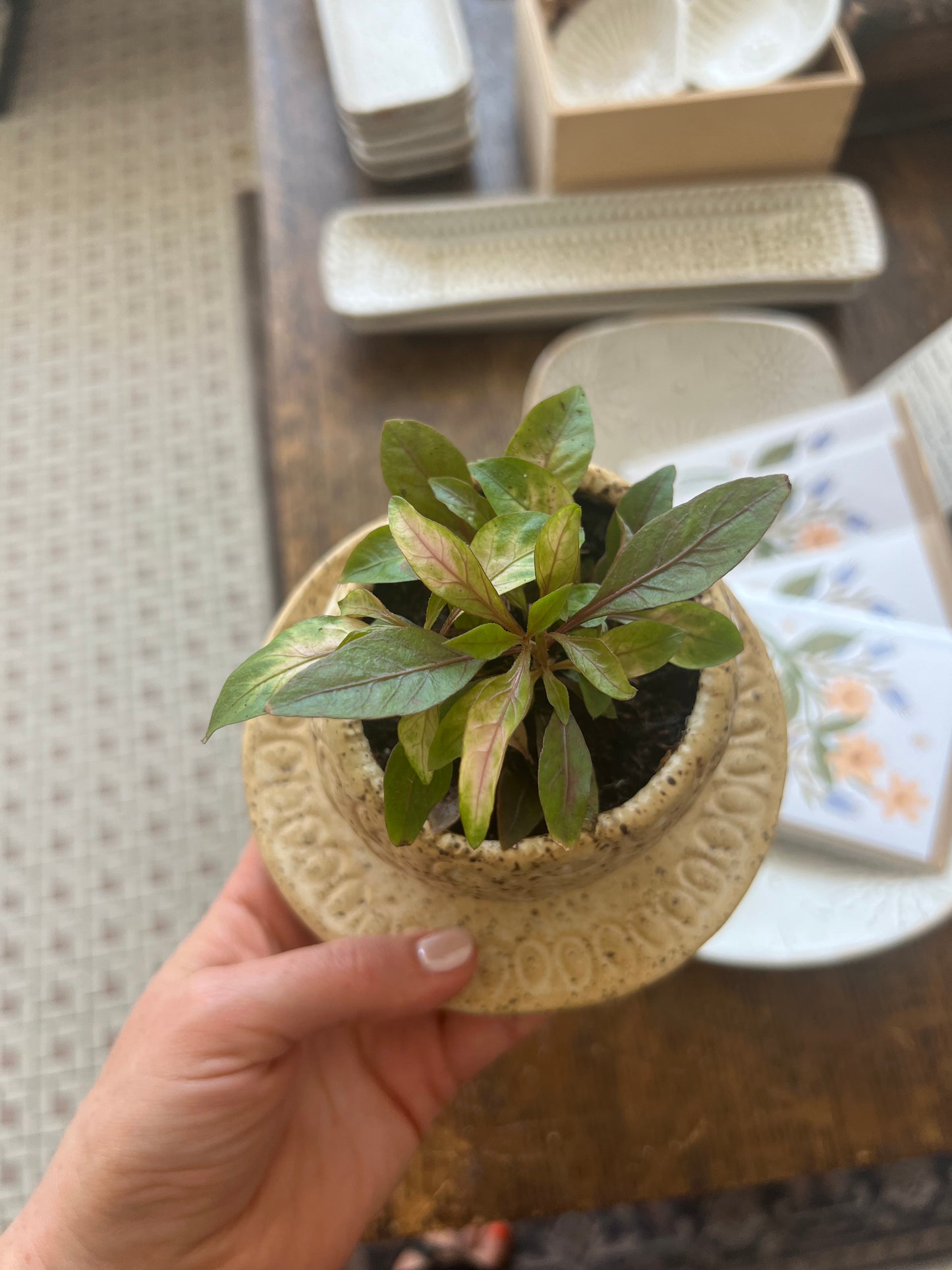 Nature Planter - Yellow