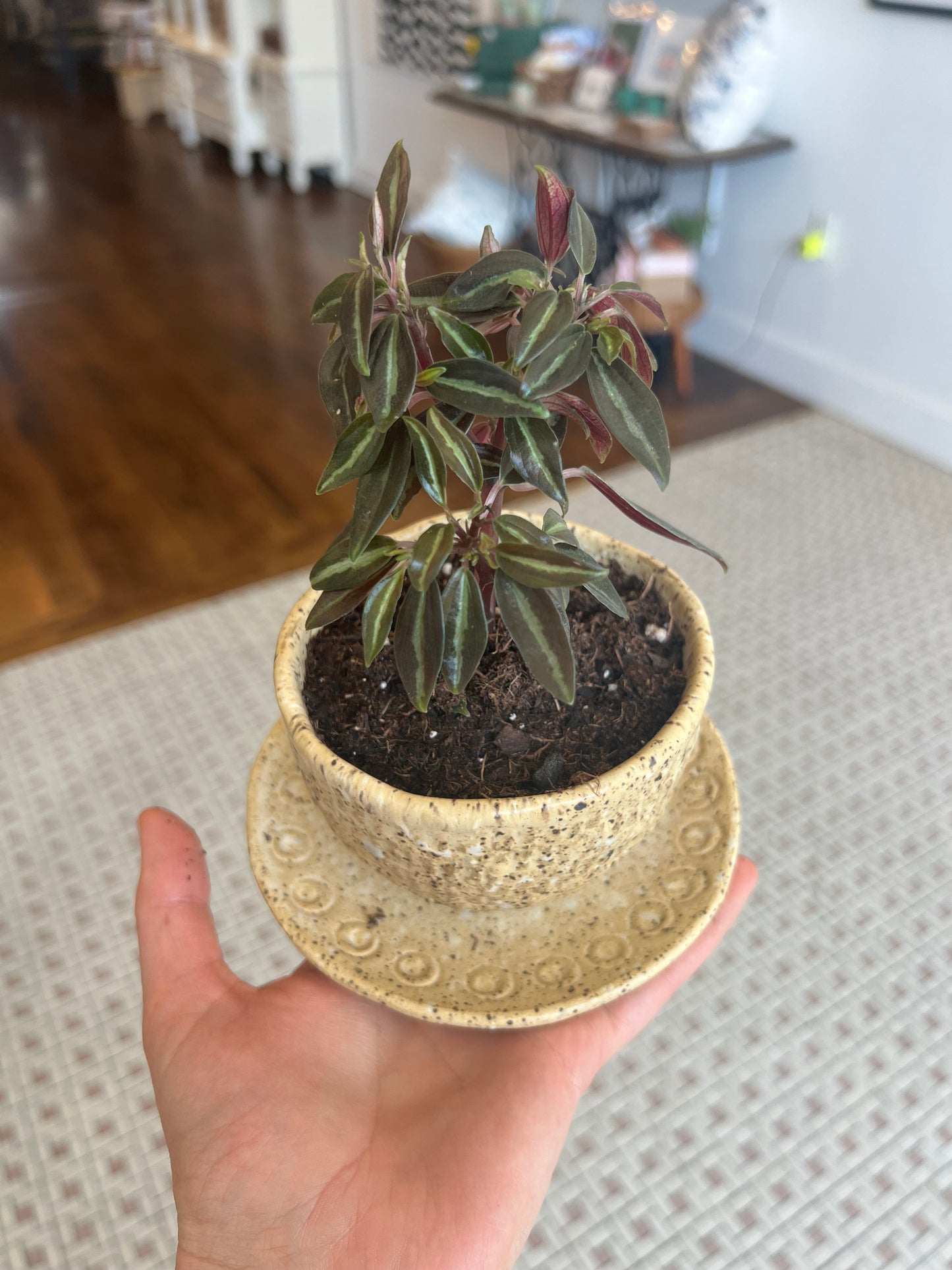Nature Planter - Yellow