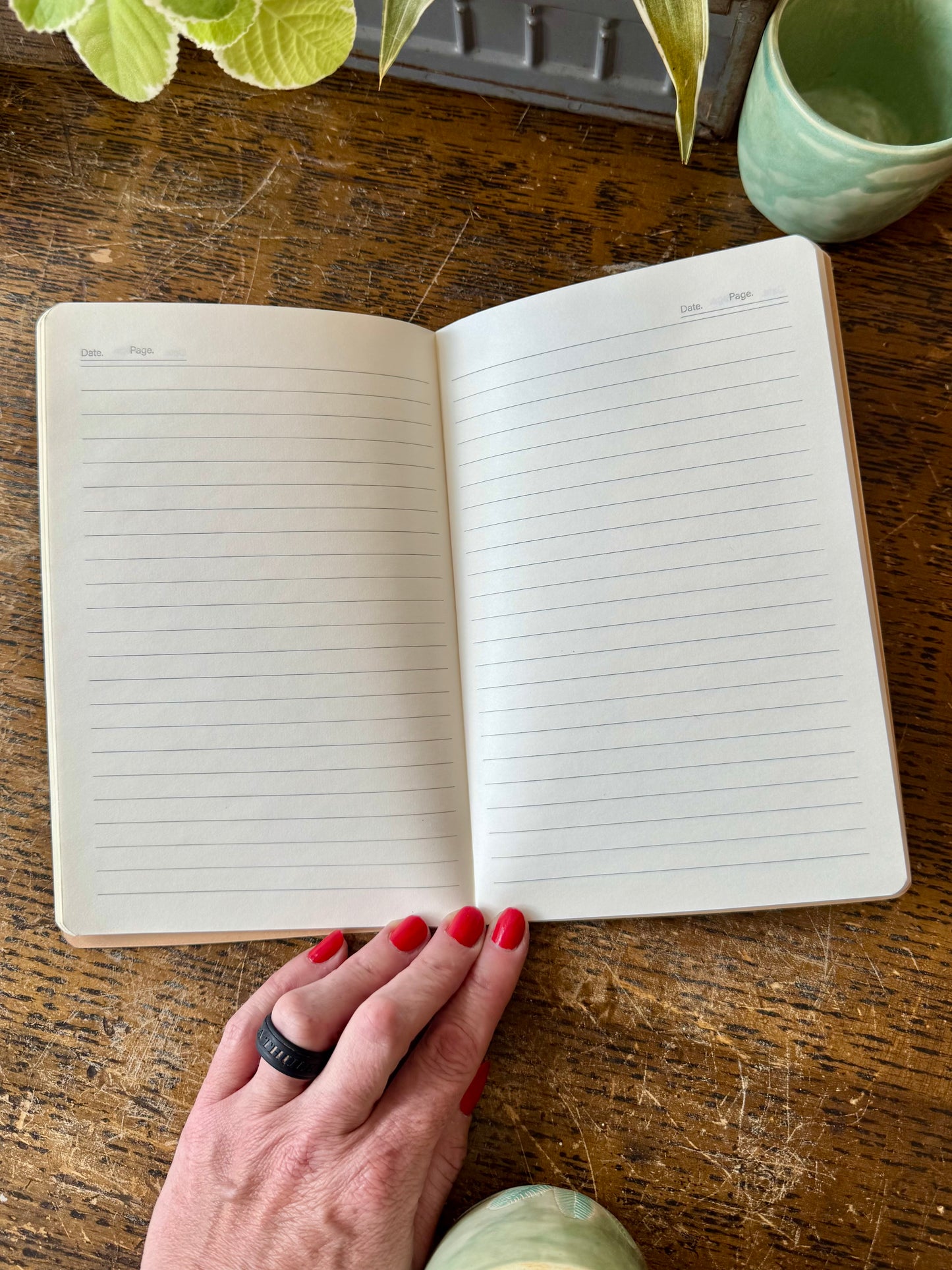 Cicada Journal