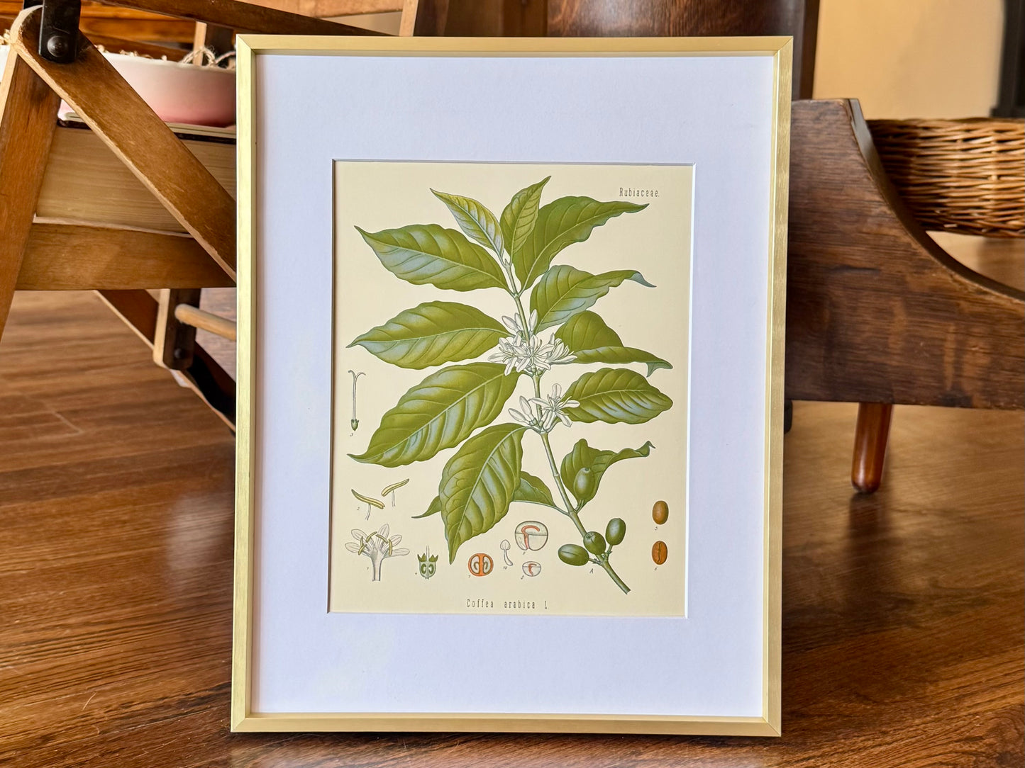 "Arabian Coffee" - Framed Print