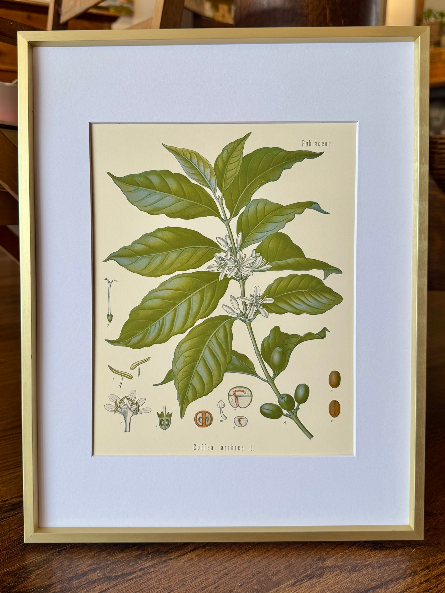 "Arabian Coffee" - Framed Print