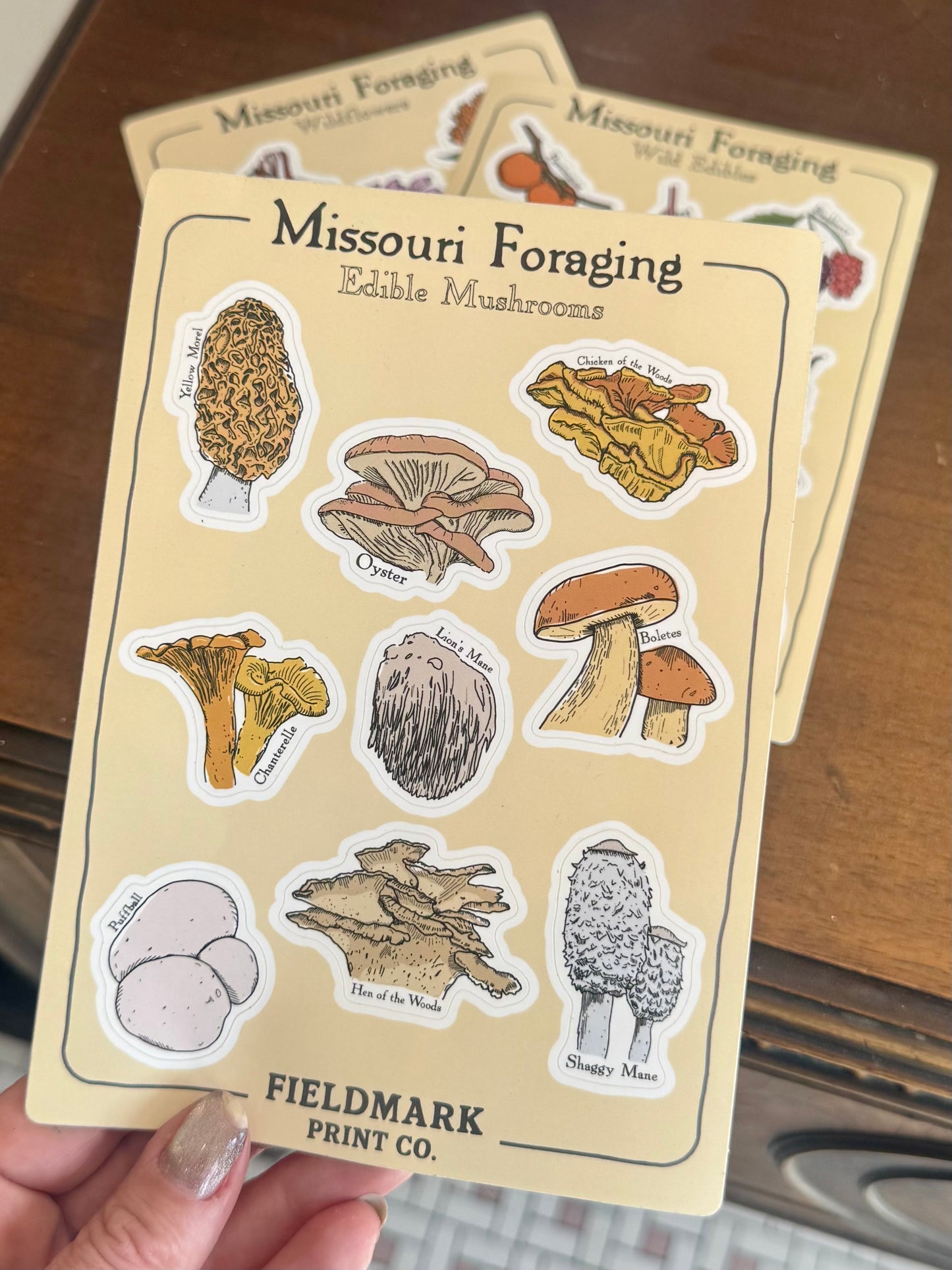 Missouri Foraging: Edible Mushrooms Sticker Sheet