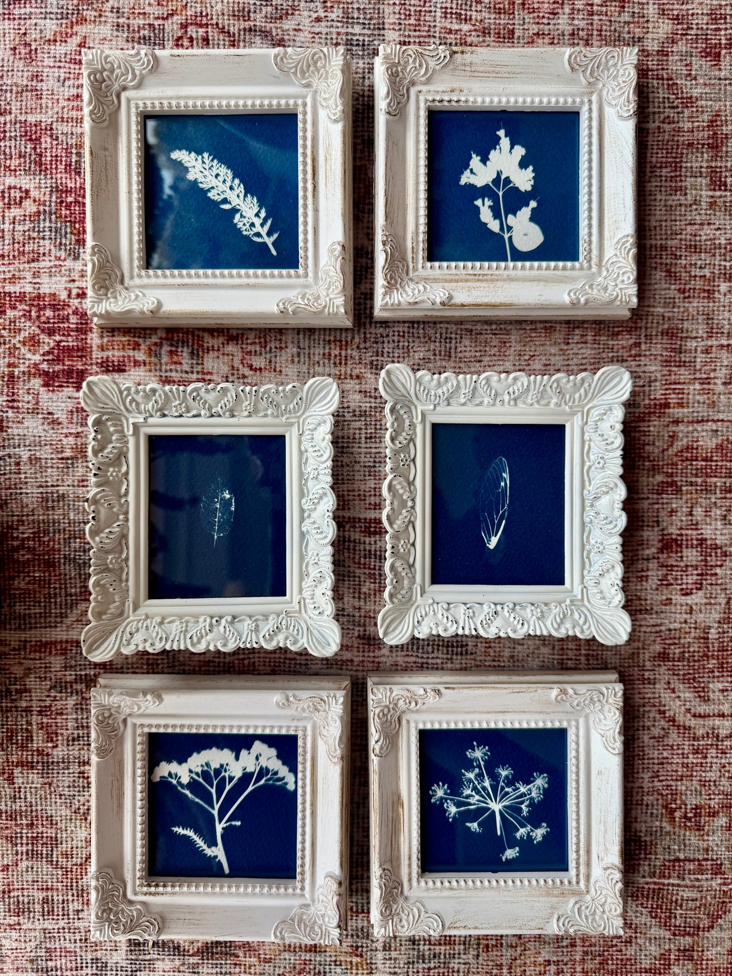 "Cyanotypes" - Original Work