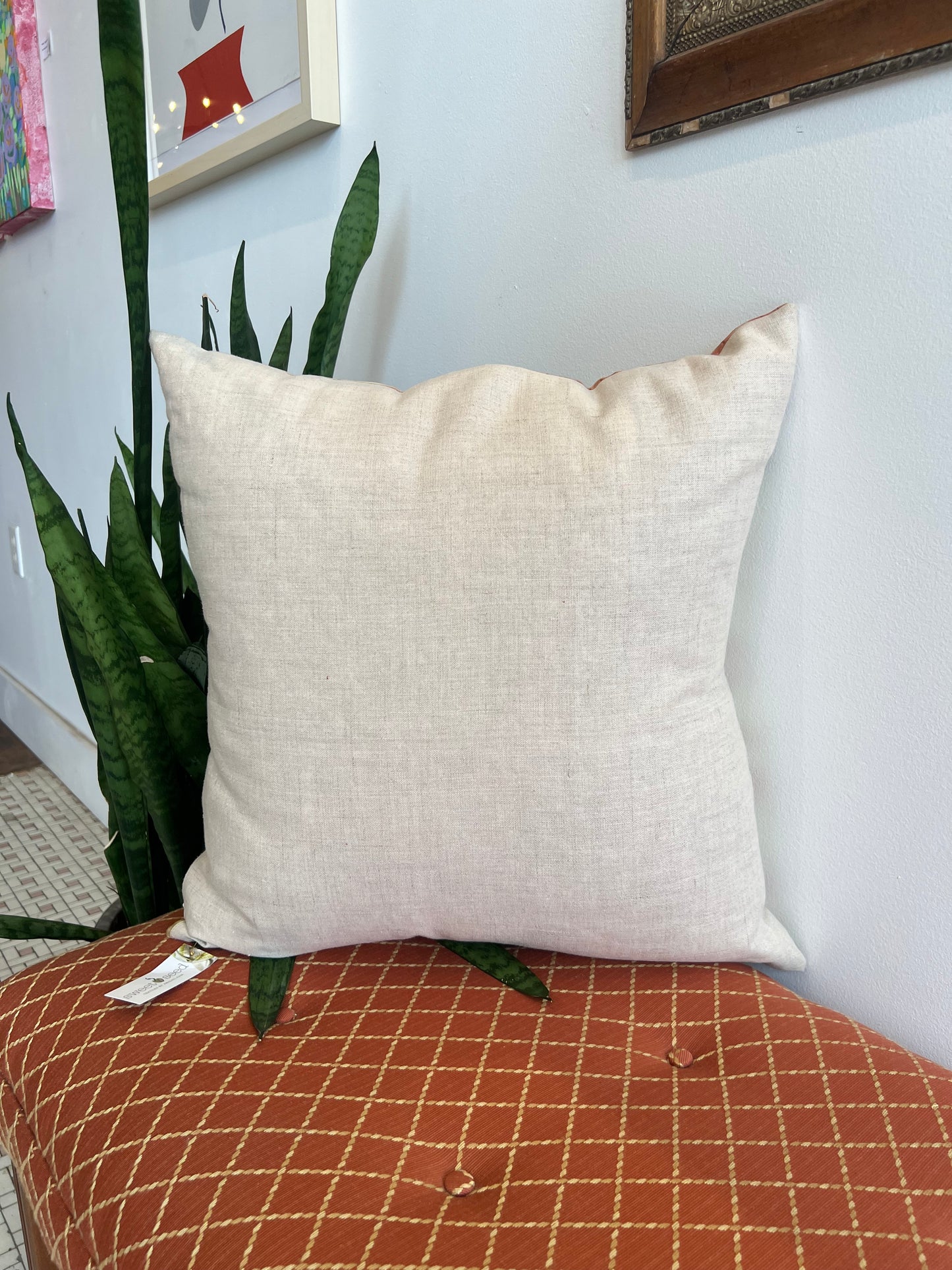 Hand Dyed Silk Pillow - 20x20