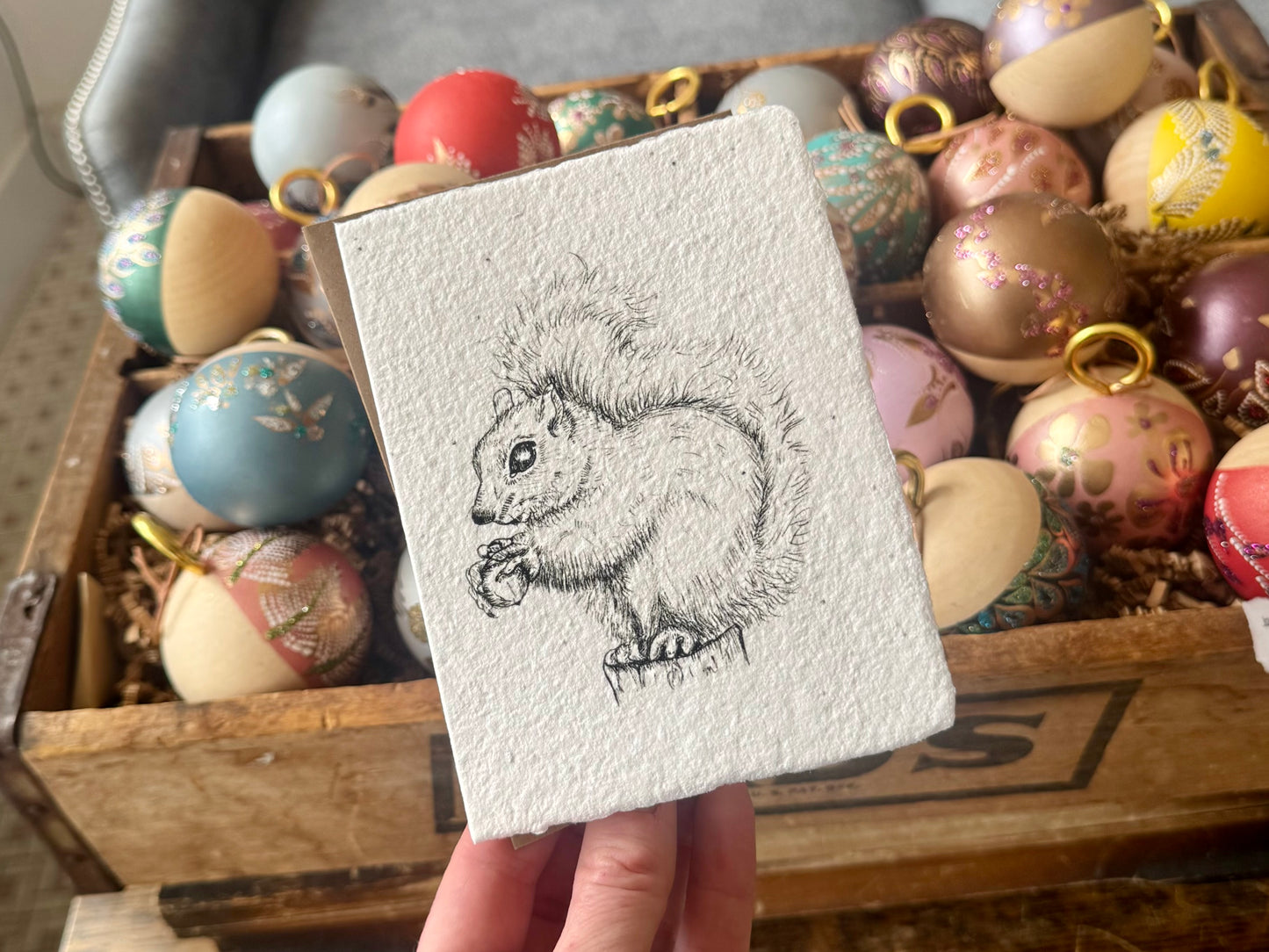 Plantable Squirrel Holiday Card