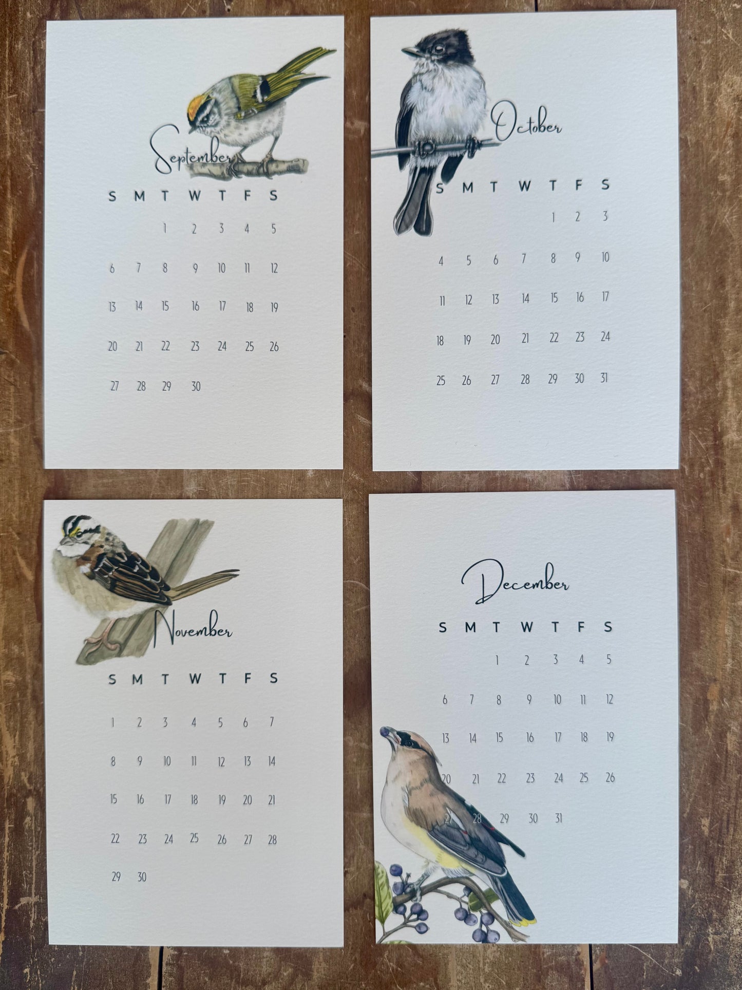 Watercolor Bird Mini Desk Calendar
