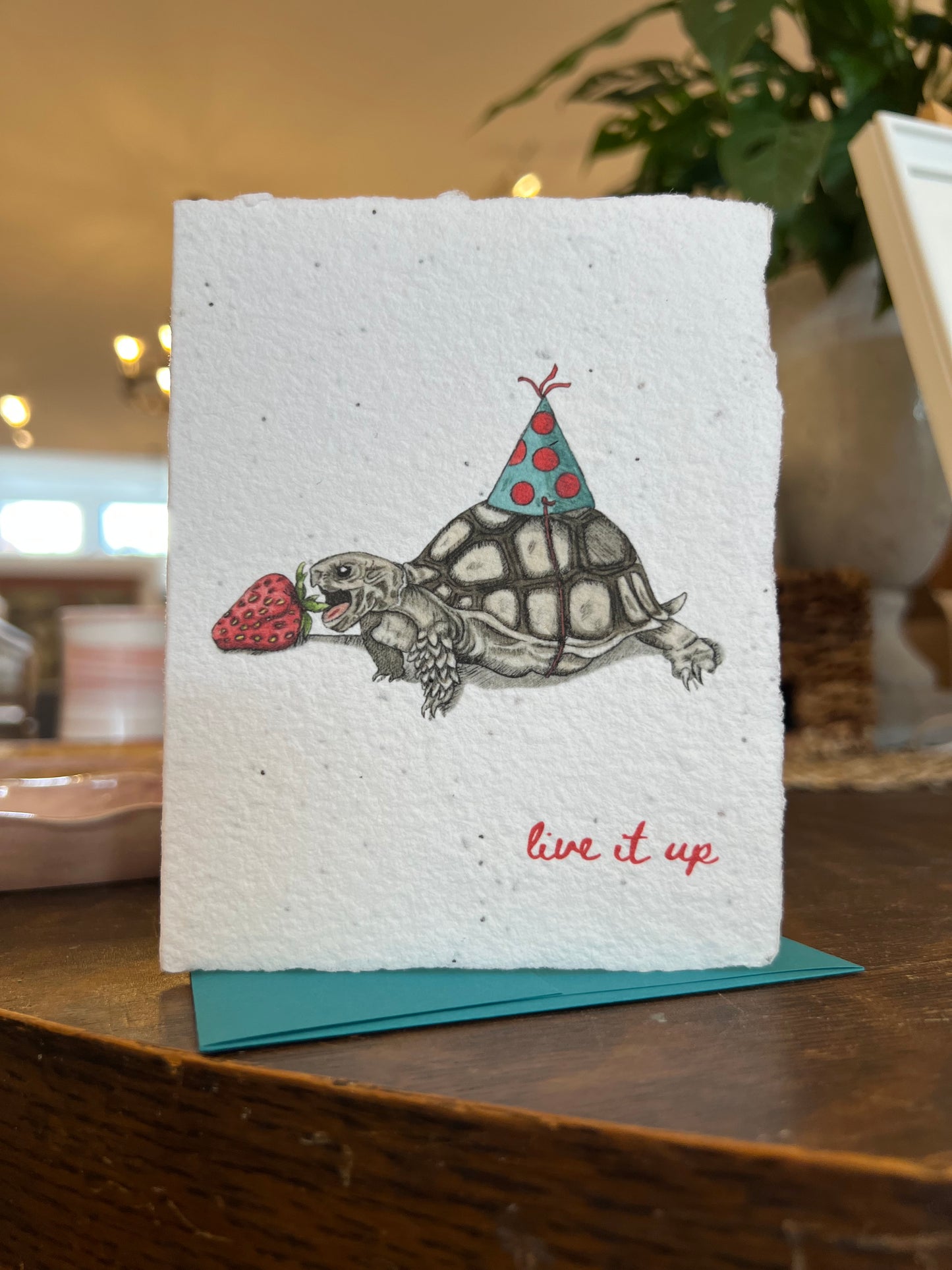 Plantable Tortoise and Strawberry Card