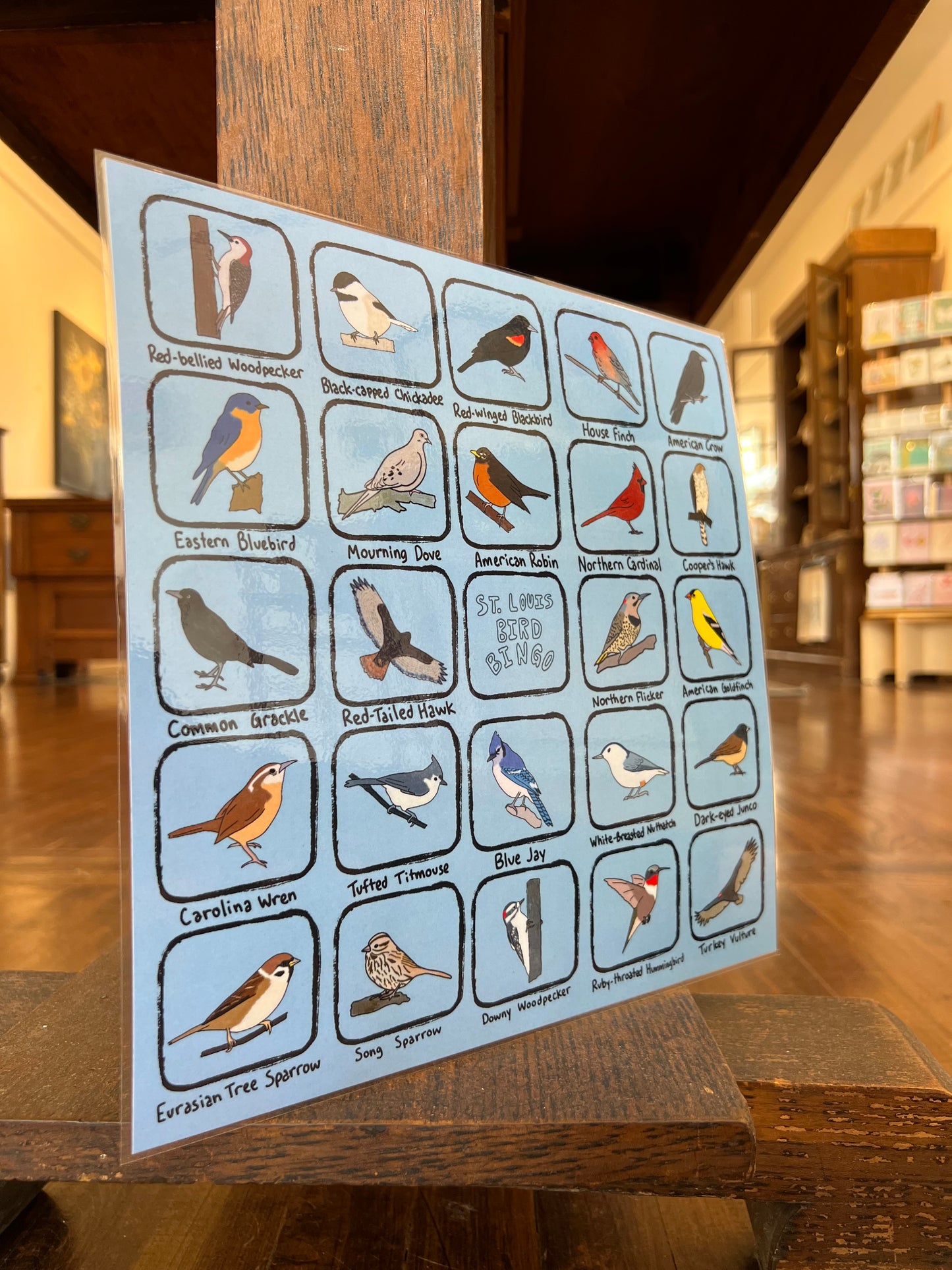 Bird Bingo