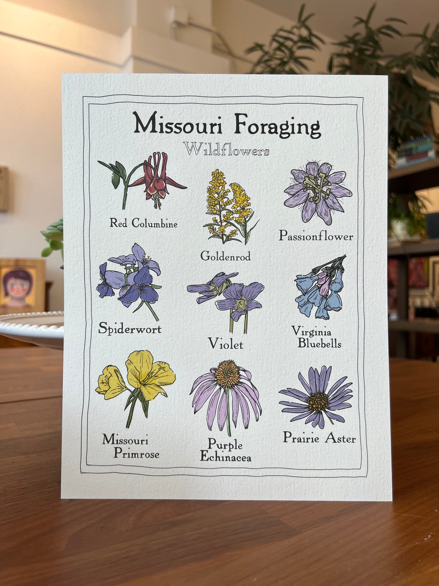 "Missouri Foraging: Wildflowers" - Print