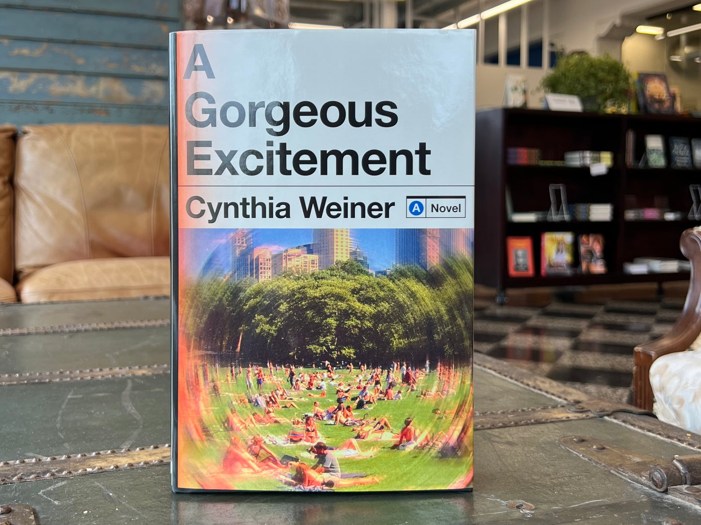 A Gorgeous Excitement by Cynthia Weiner
