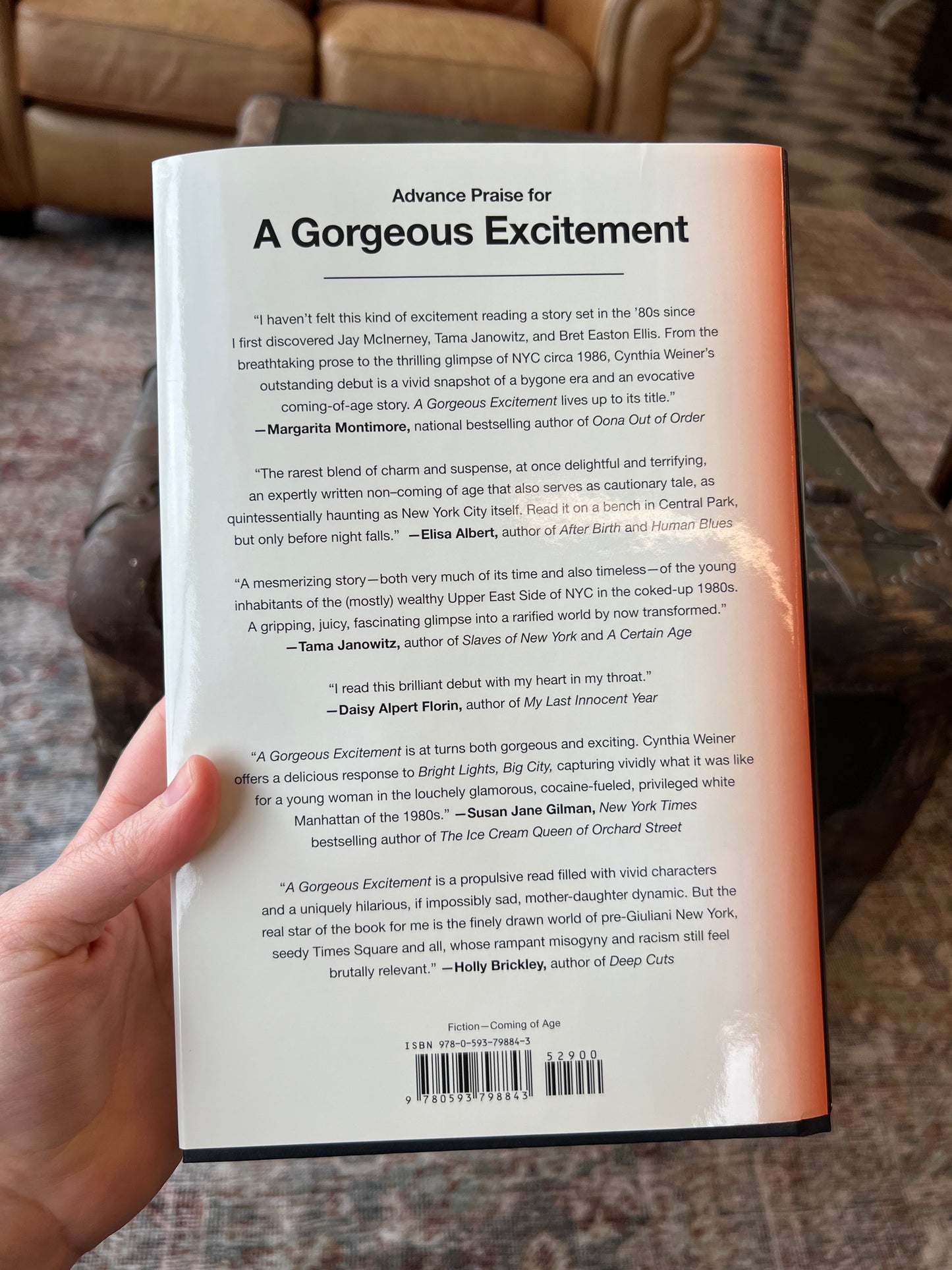 A Gorgeous Excitement by Cynthia Weiner