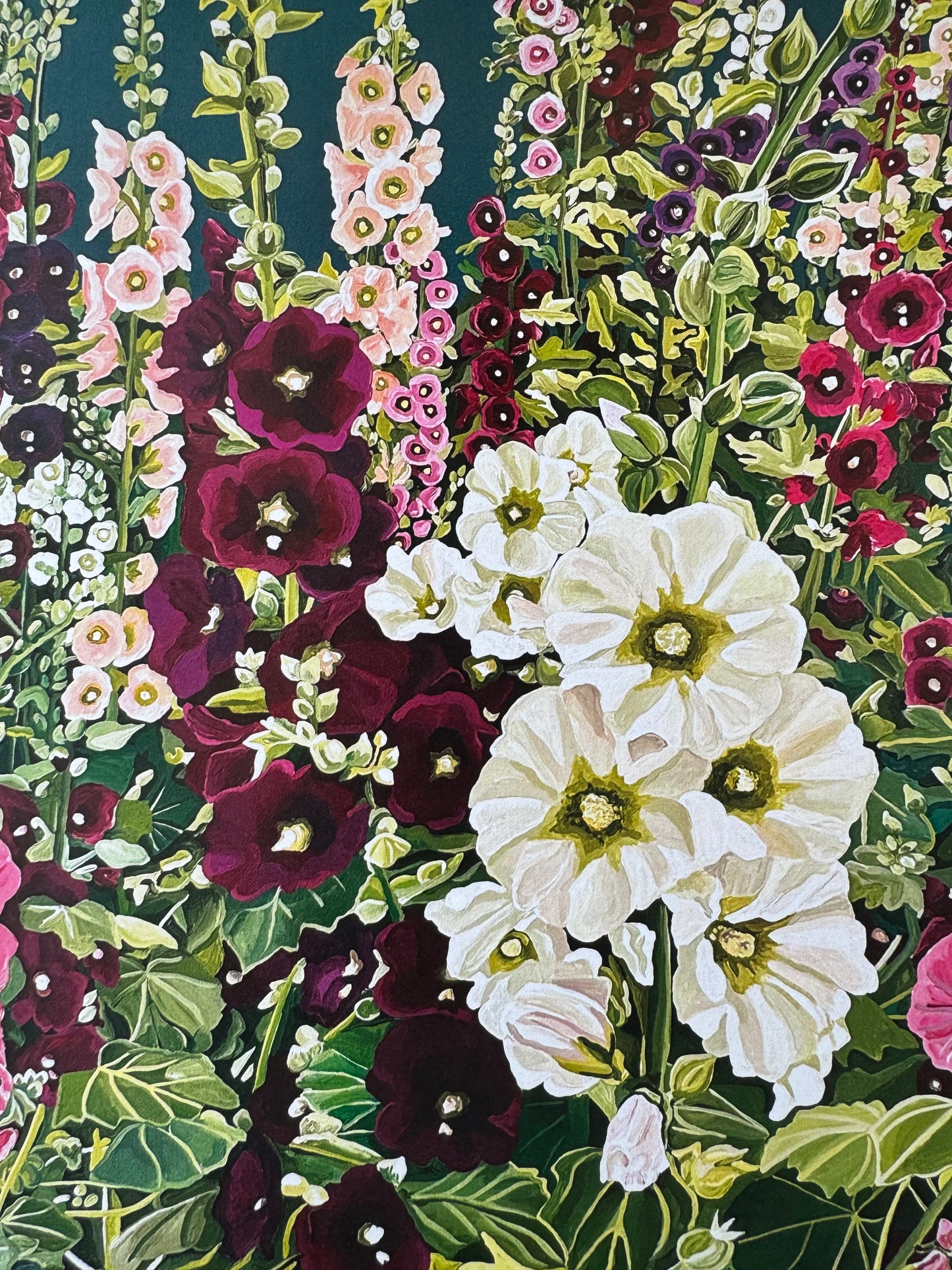 "Hollyhocks" - Print