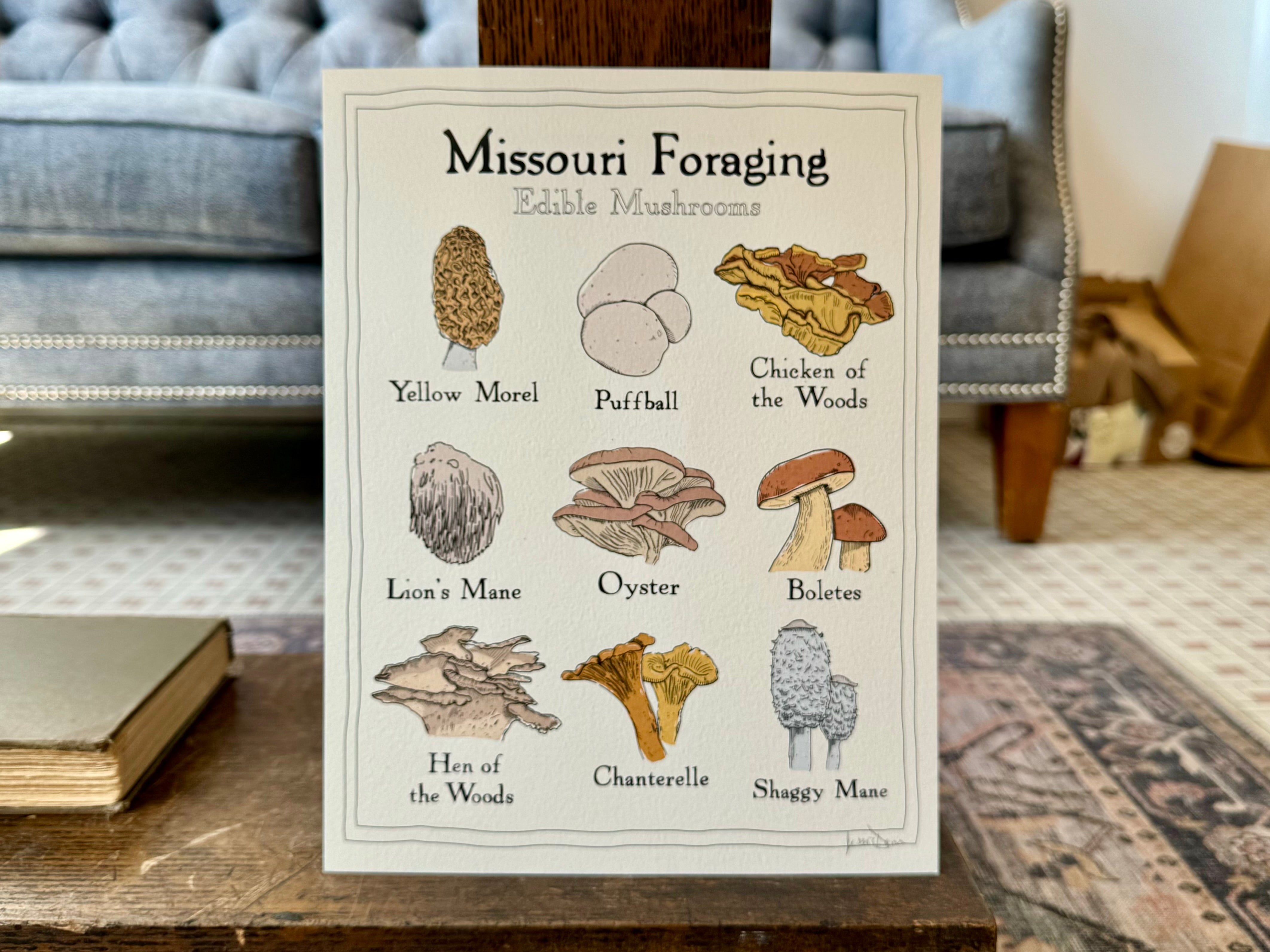 "Missouri Foraging Edible Mushrooms" Print Union Studio