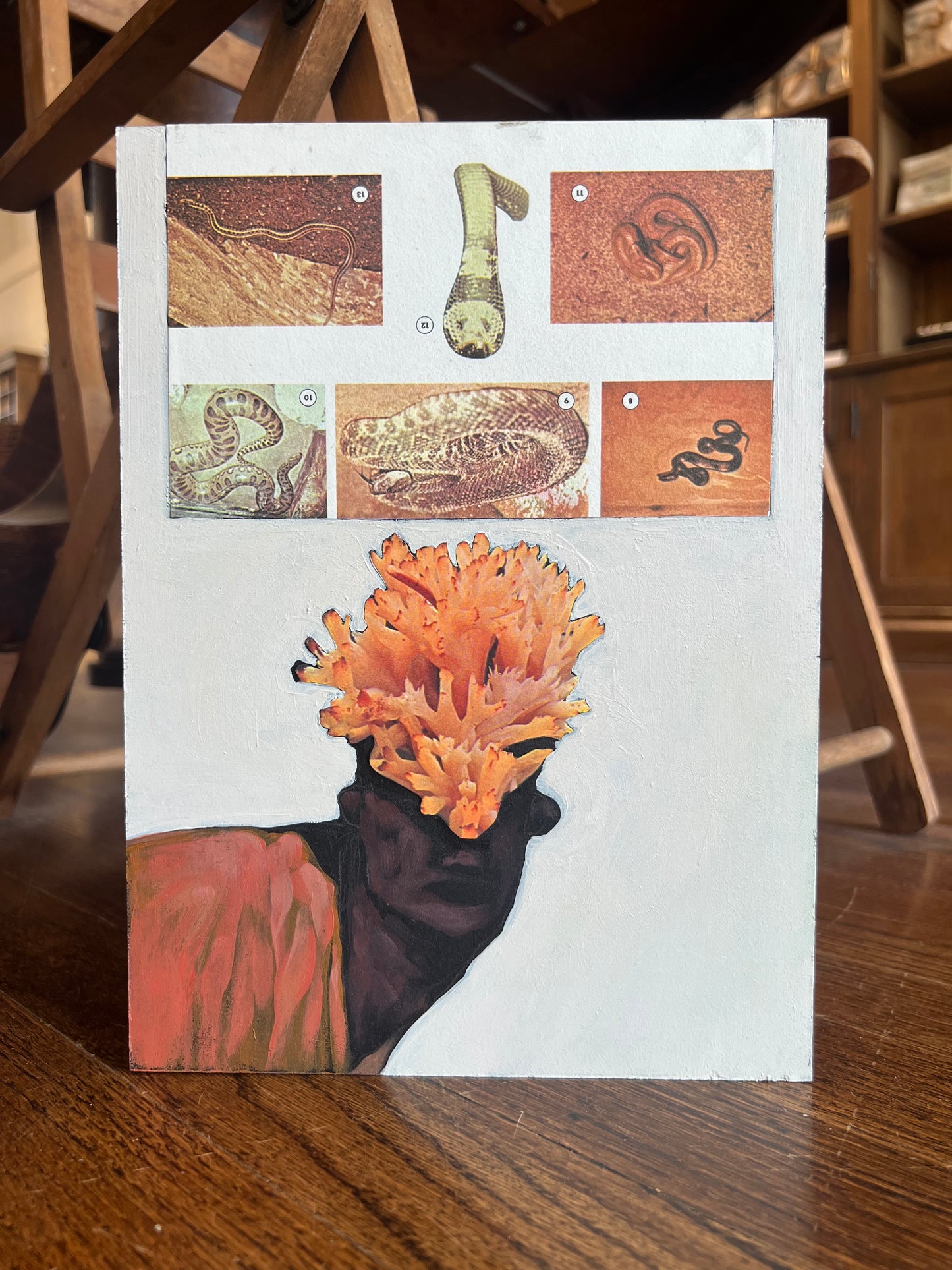 "Hognose Clarendon" - Original Work