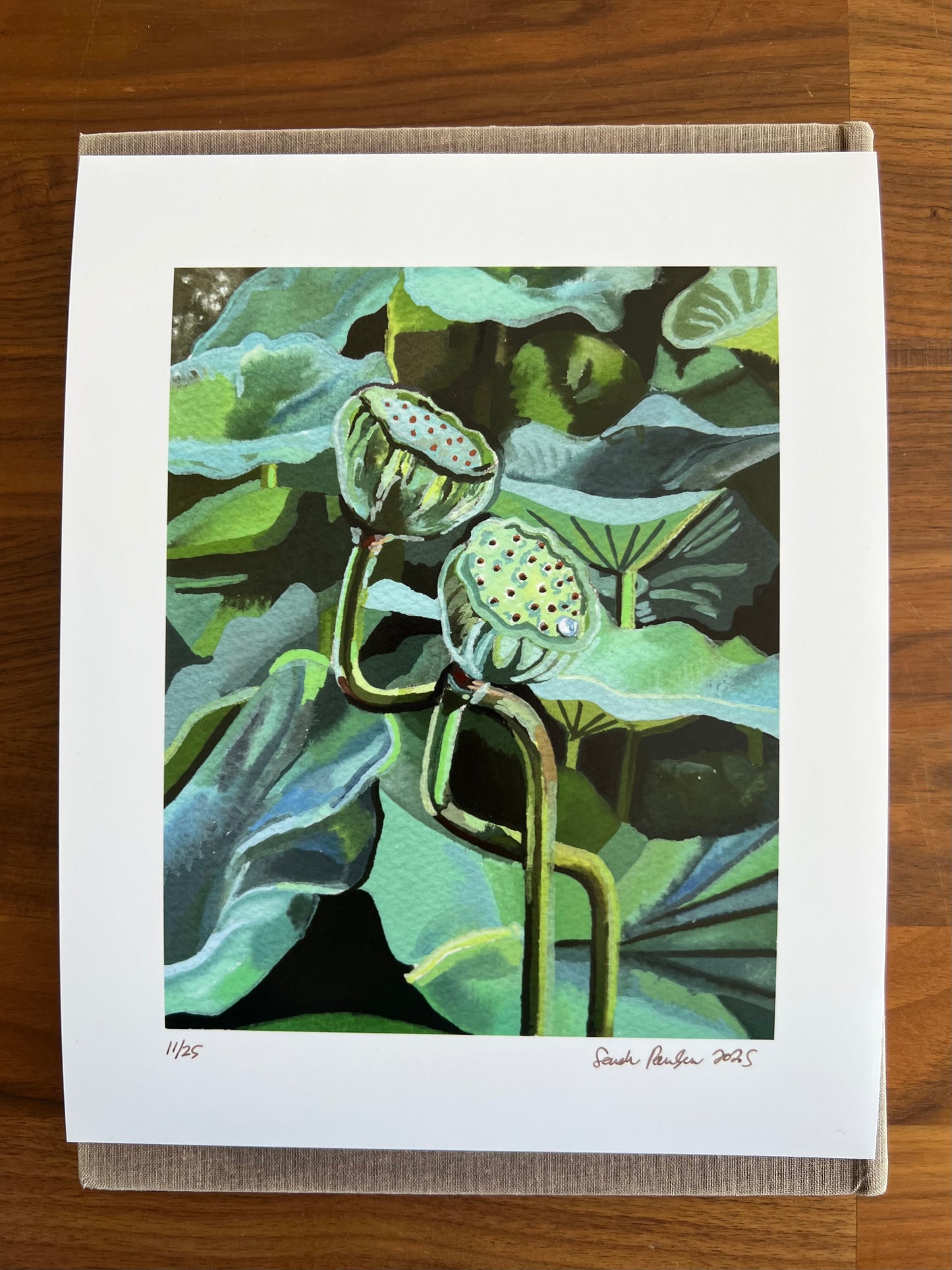 "Lotus Pods" - Print