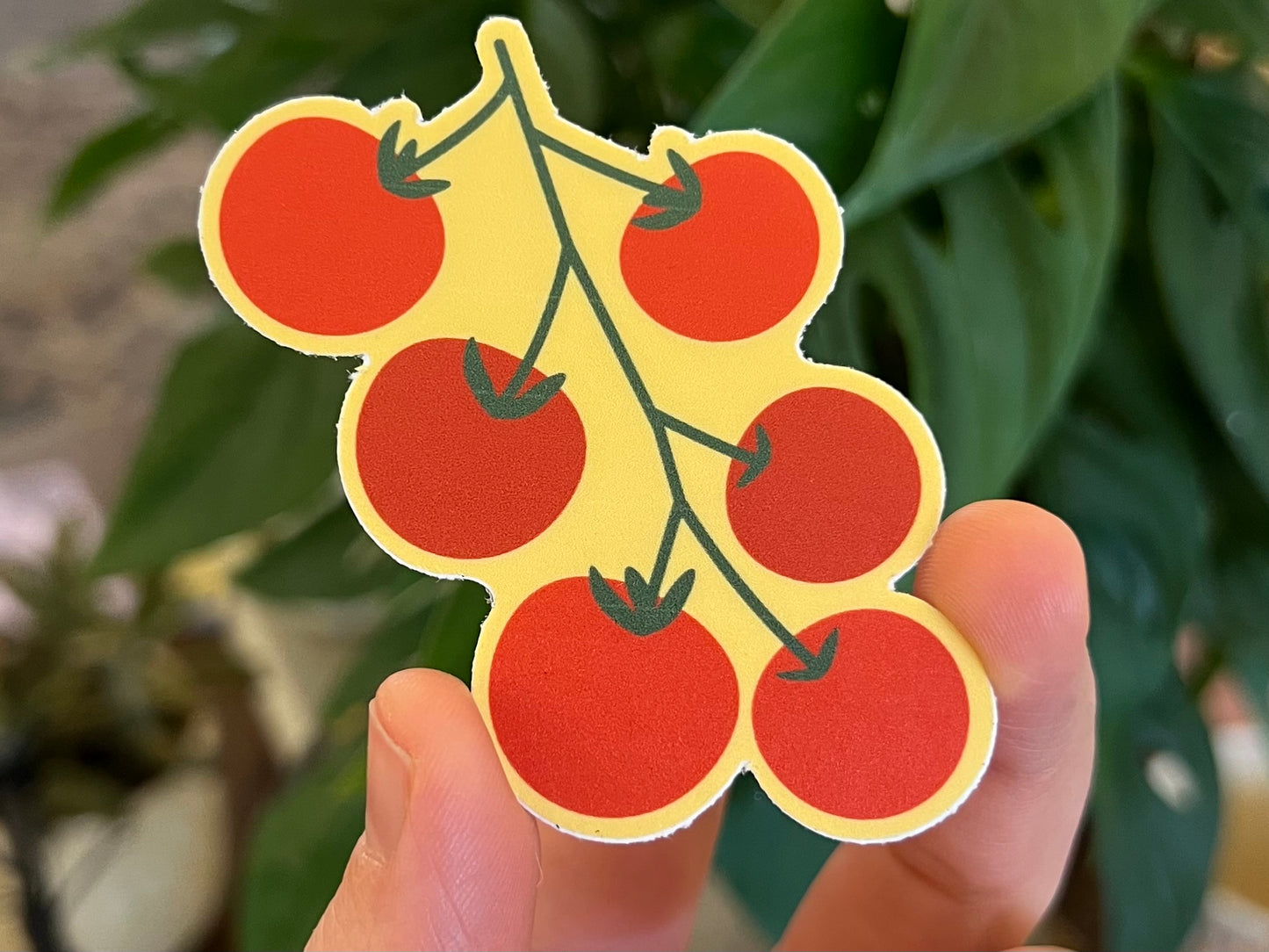 Tomato on Vine Sticker