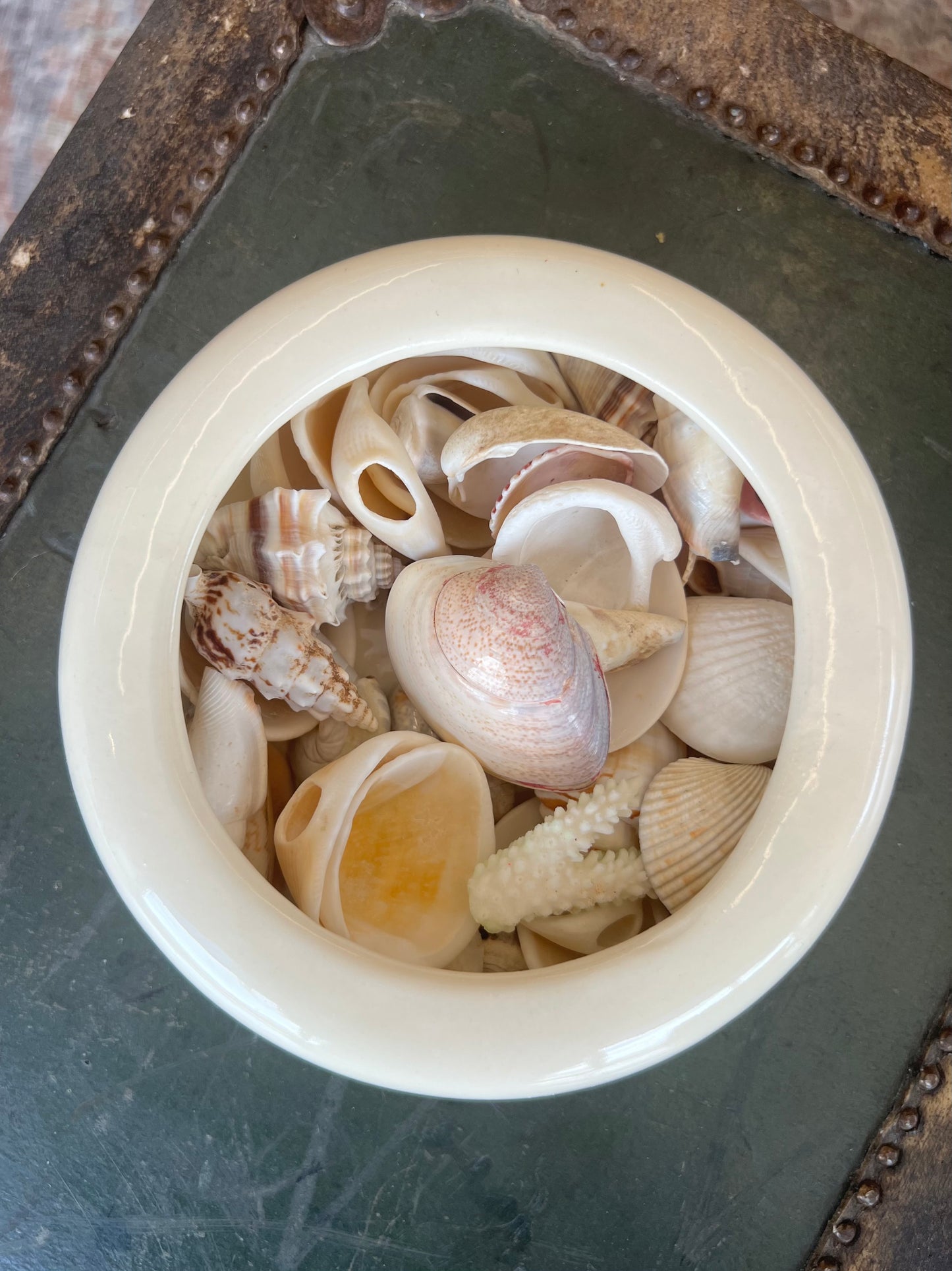 White Bowl of Seashells