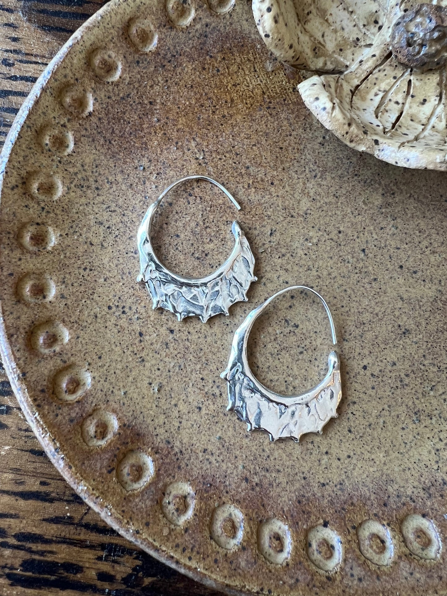 Twisted Hoop Earrings