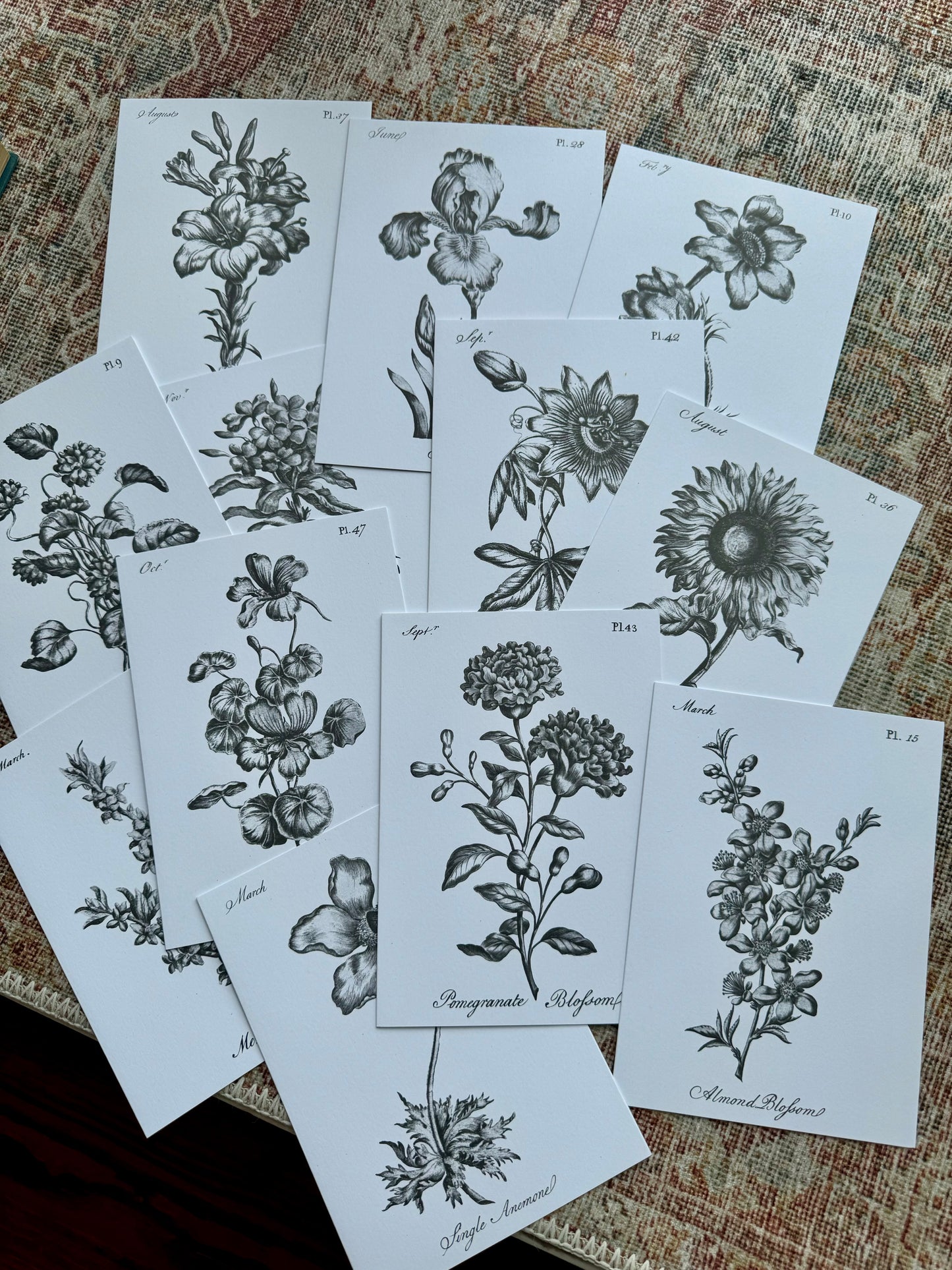 Florist Coloring Notecard Pack