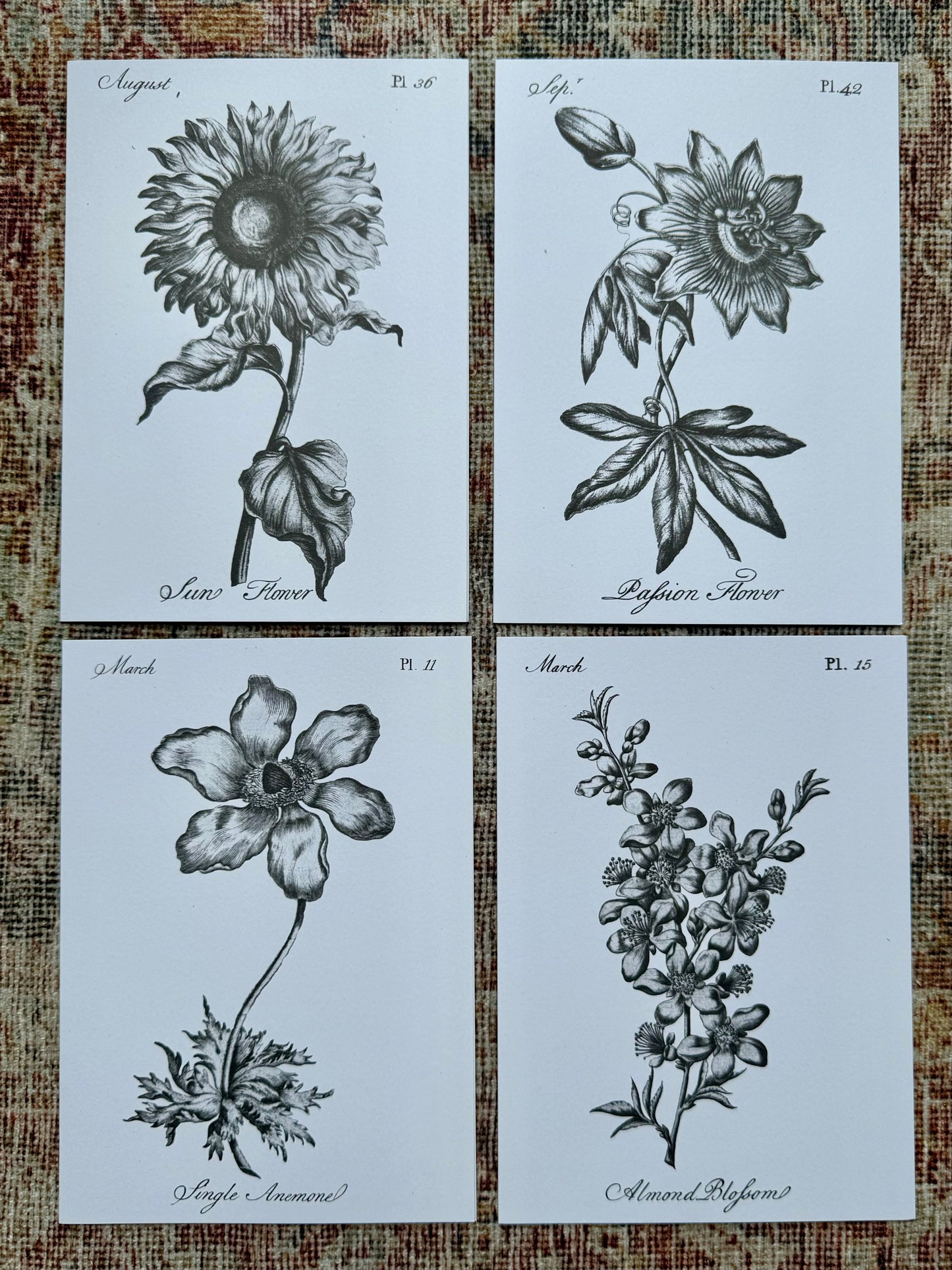 Florist Coloring Notecard Pack