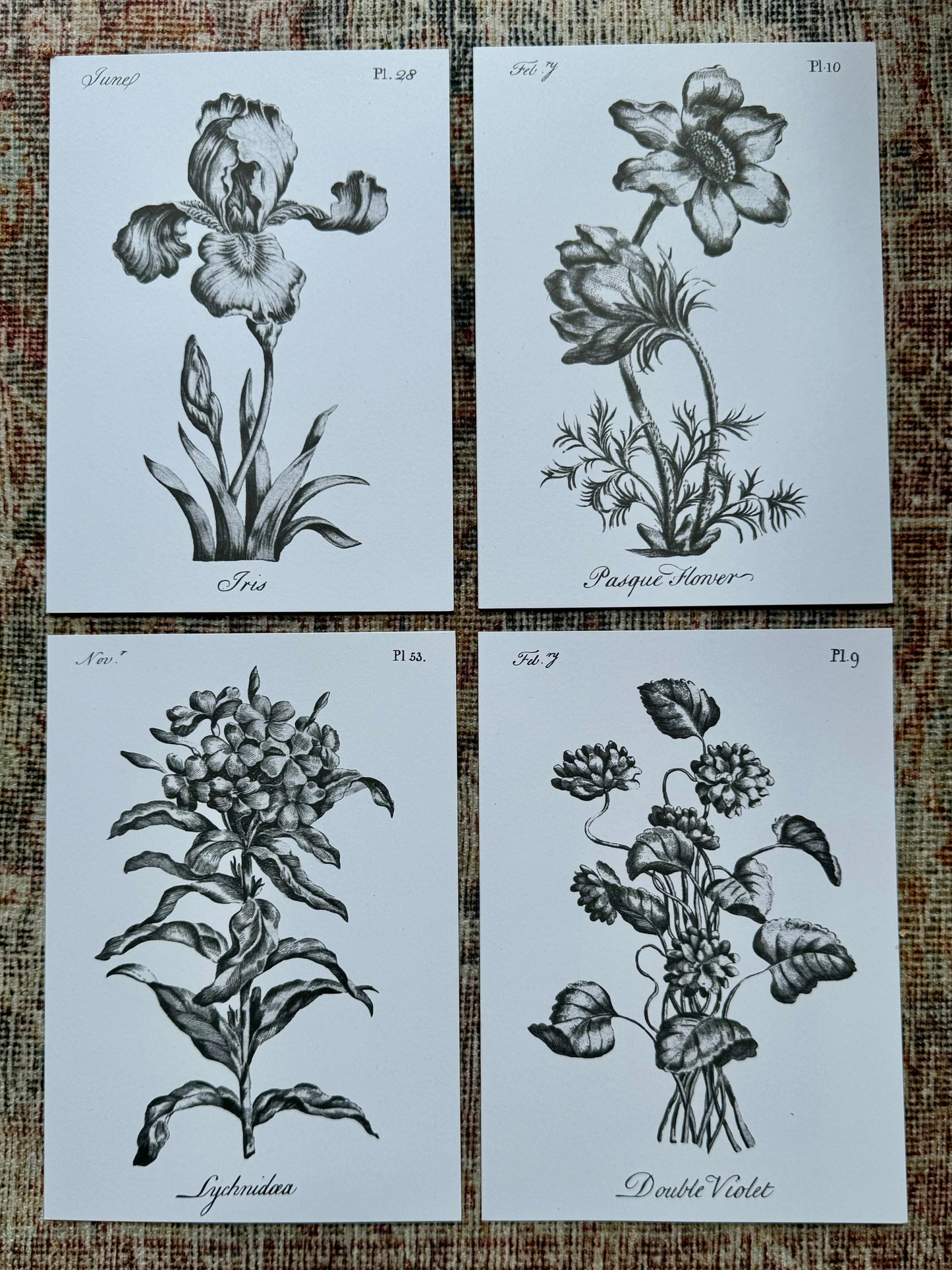 Florist Coloring Notecard Pack