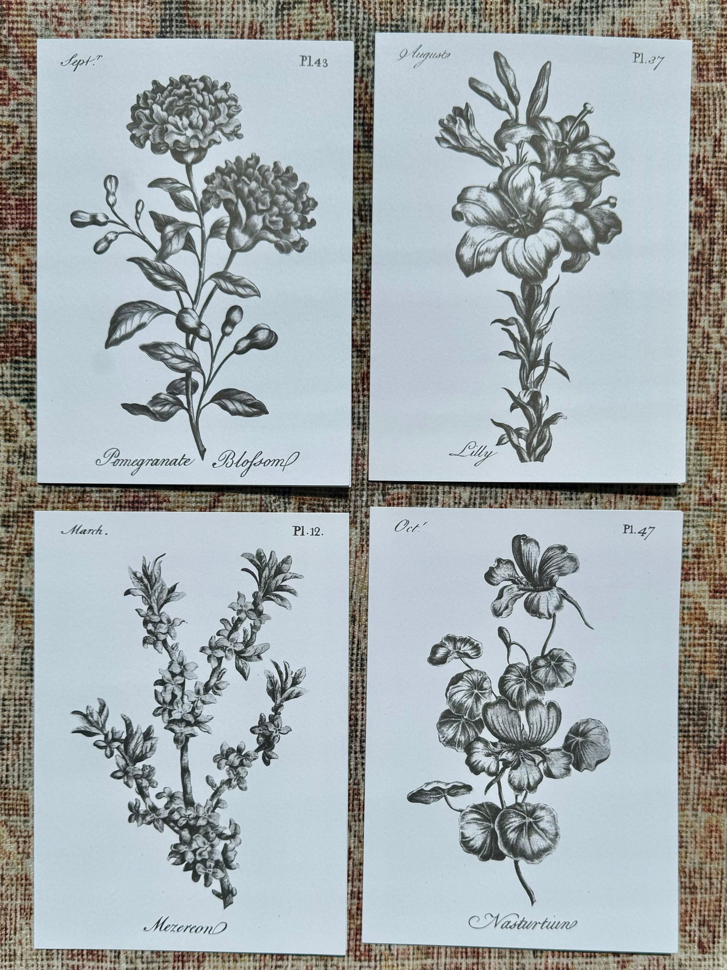 Florist Coloring Notecard Pack