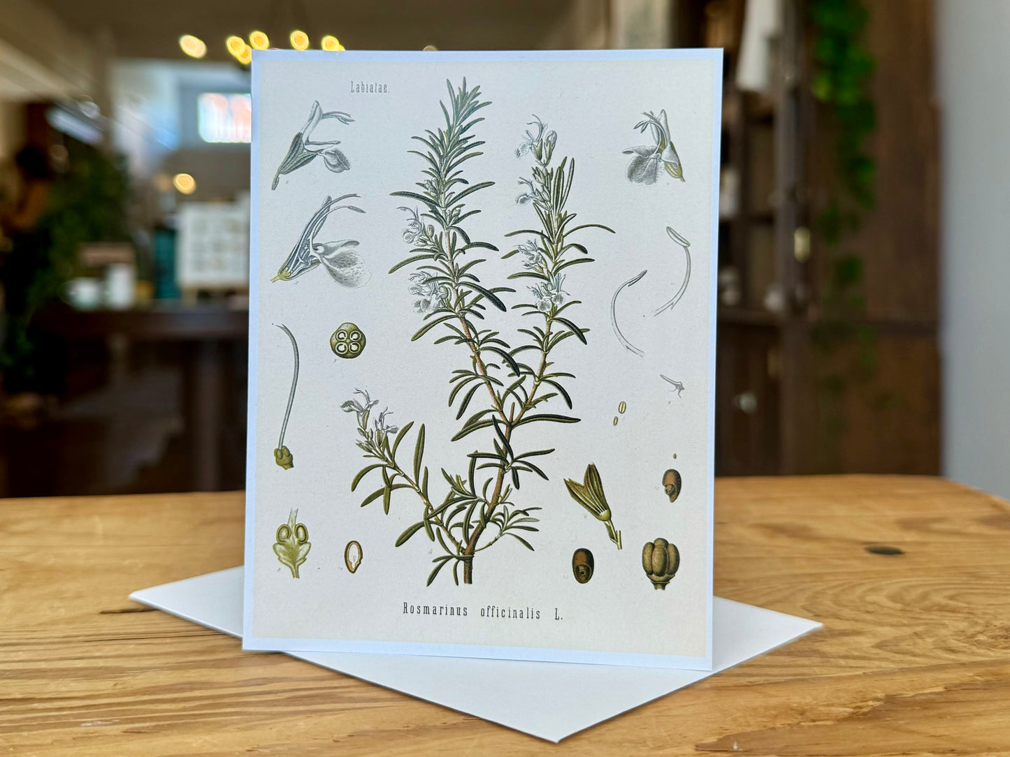 Culinary Herbs Notecard Pack