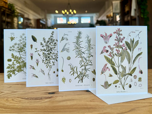 Culinary Herbs Notecard Pack