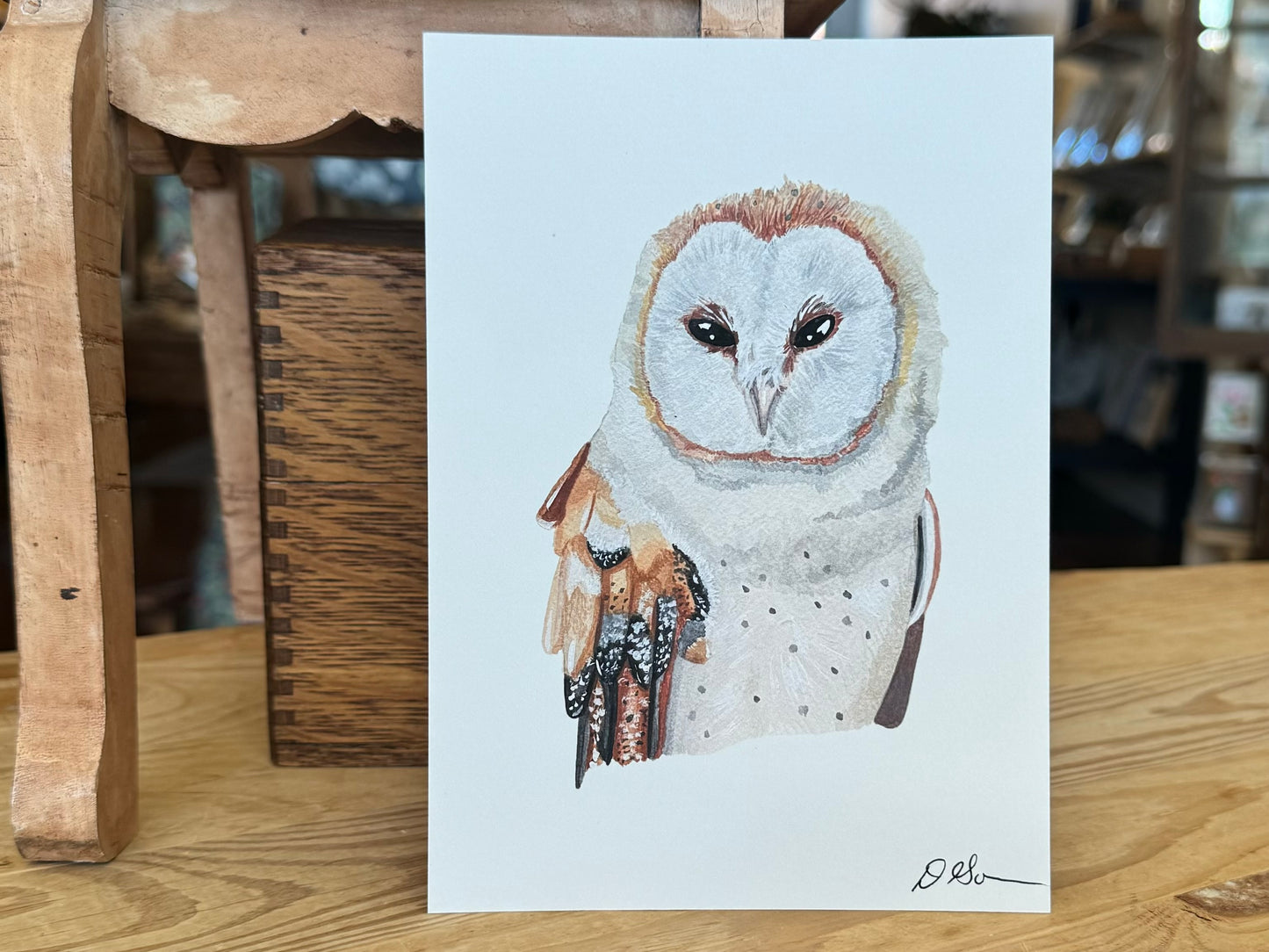 "Barn Owl" - Print