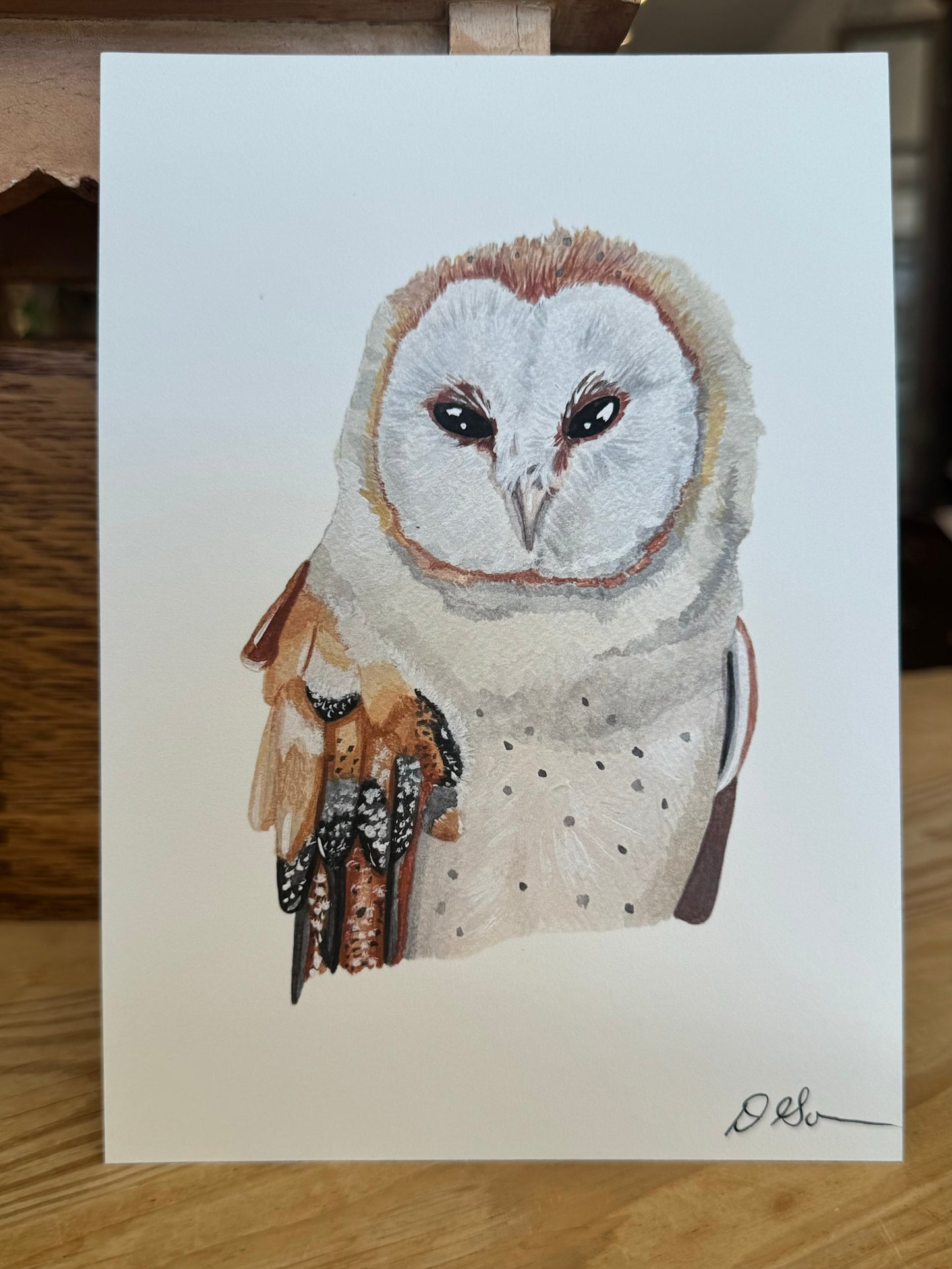 "Barn Owl" - Print