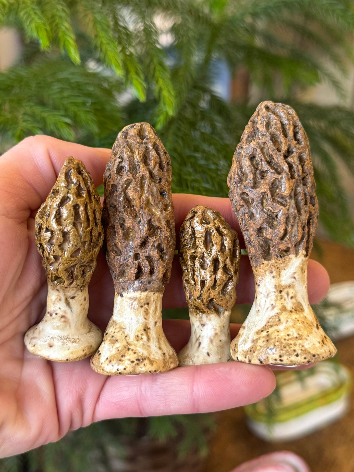 Ceramic Morel