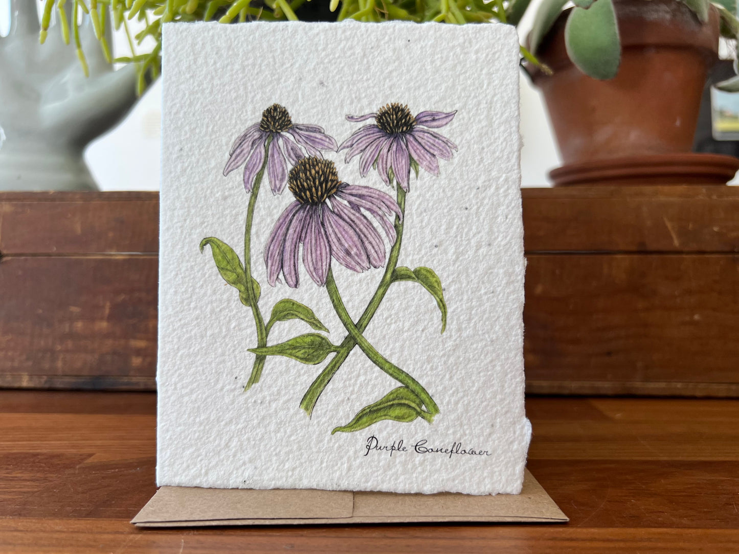 Plantable Purple Coneflower Card