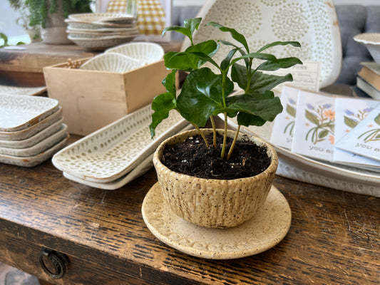 Nature Planter - Yellow