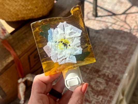 Fused Glass Nightlight