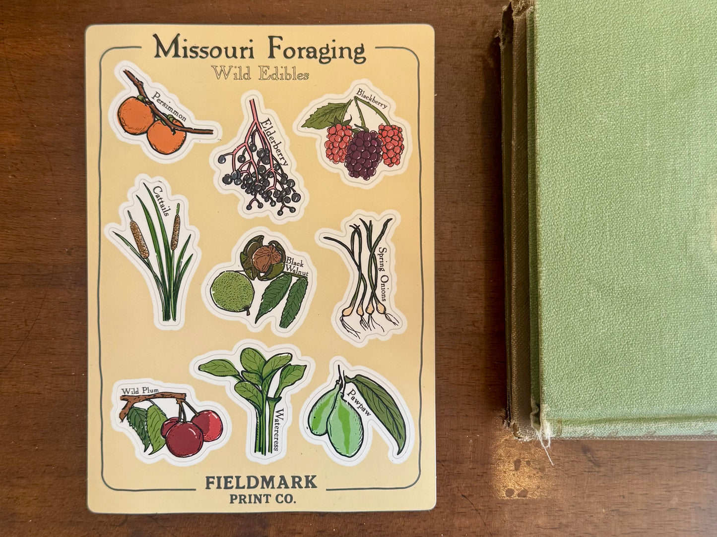 Missouri Foraging: Wild Edibles Sticker Sheet