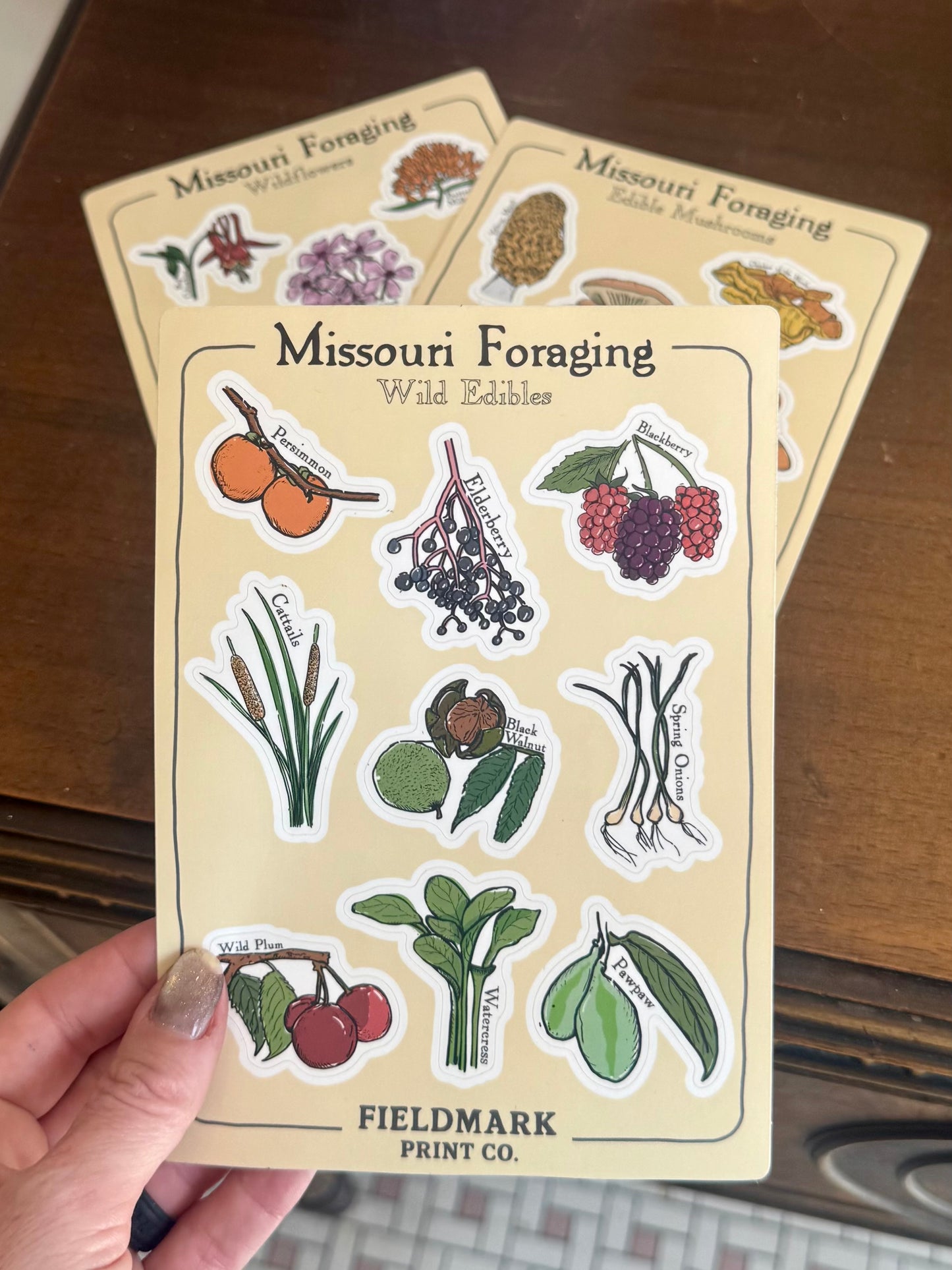 Missouri Foraging: Wild Edibles Sticker Sheet
