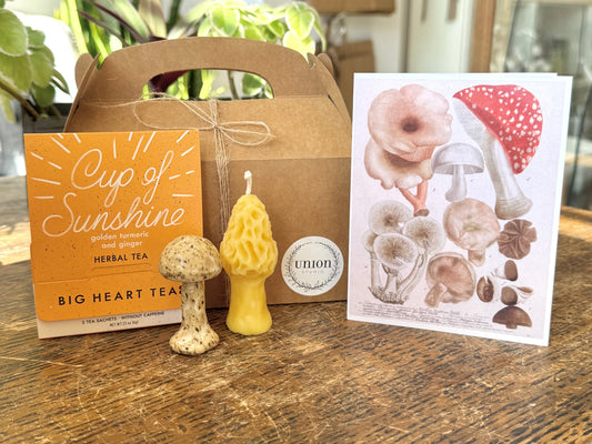 For the Forager Gift Set
