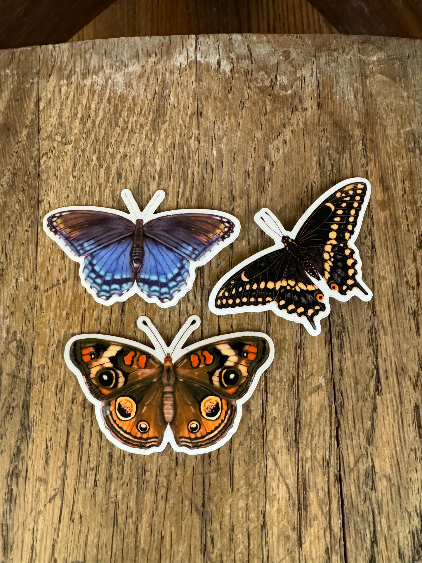 Red Spotted Butterfly Sticker