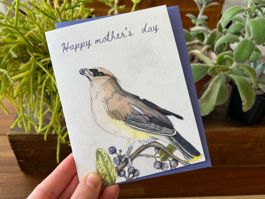 Cedar Waxwing Mother's Day Card