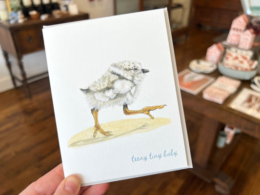 Piping Plover Baby Card