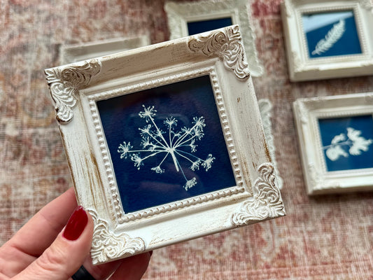 "Cyanotypes" - Original Work