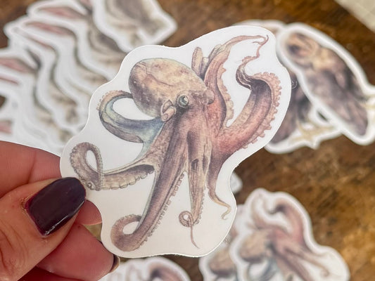 Octopus Sticker