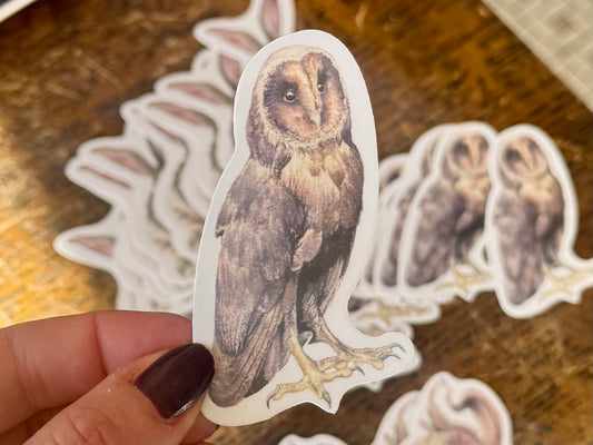 Owl Sticker