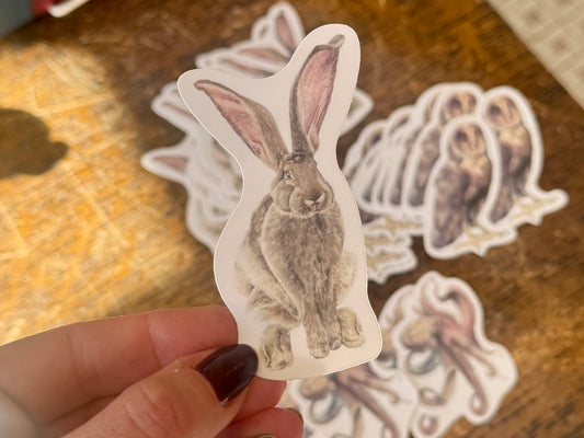 Rabbit Sticker