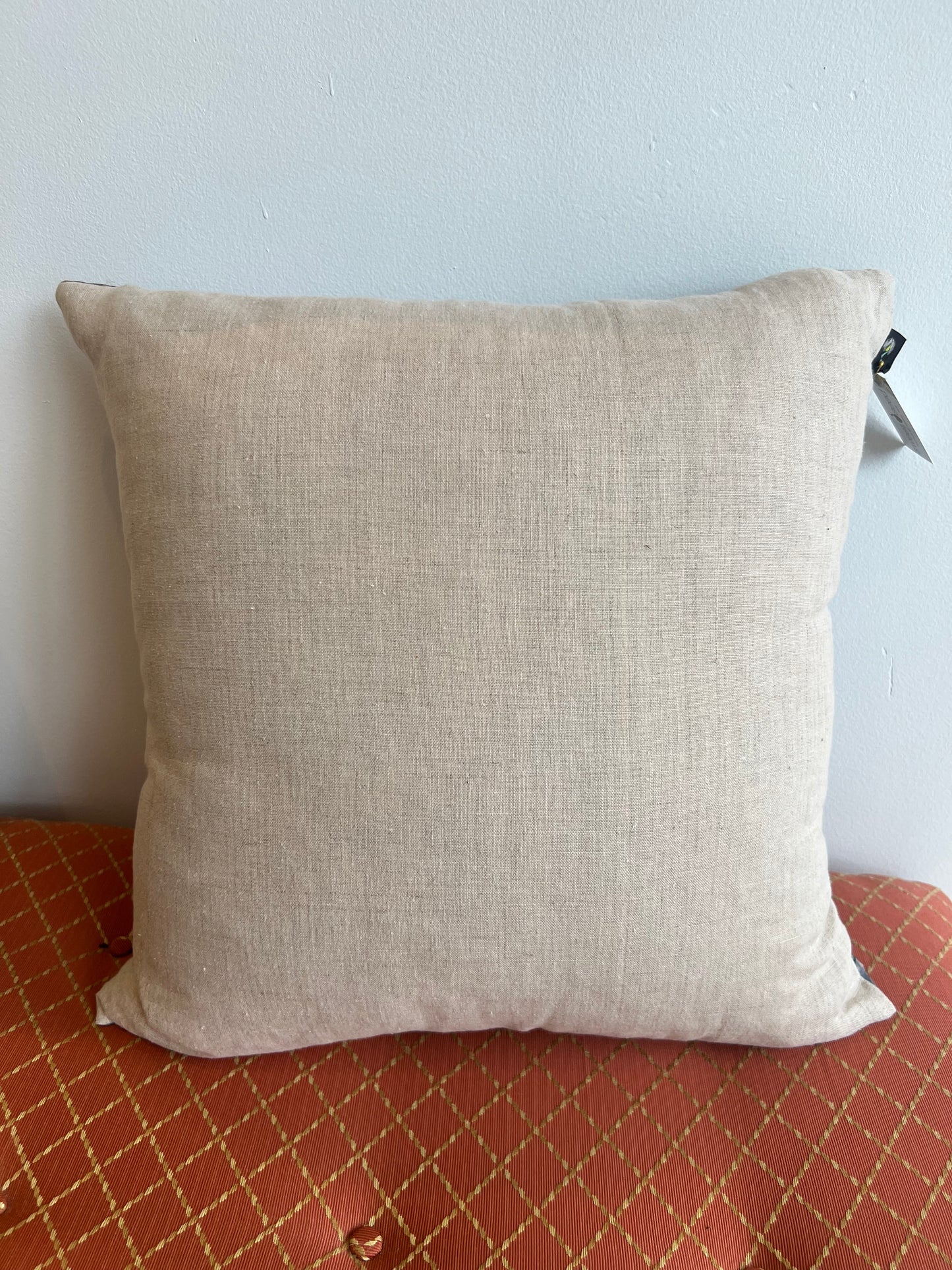 Hand Dyed Silk Pillow - 20x20