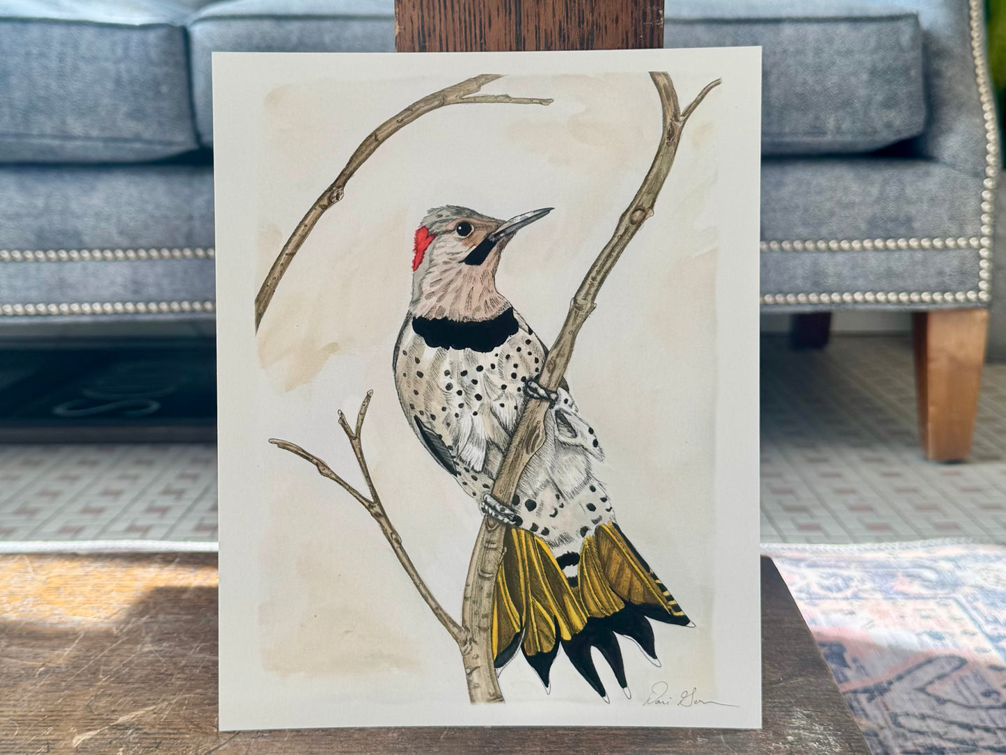 "Northern Flicker" - Print
