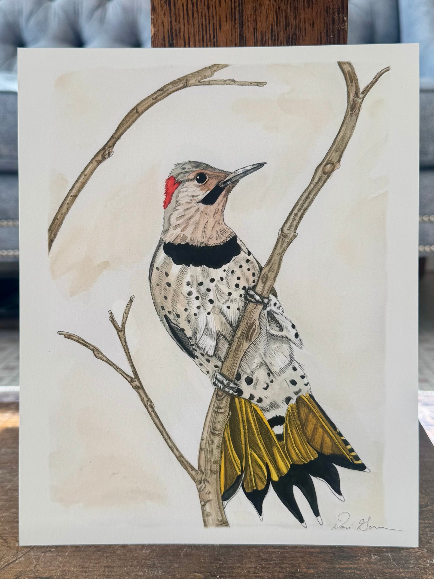 "Northern Flicker" - Print